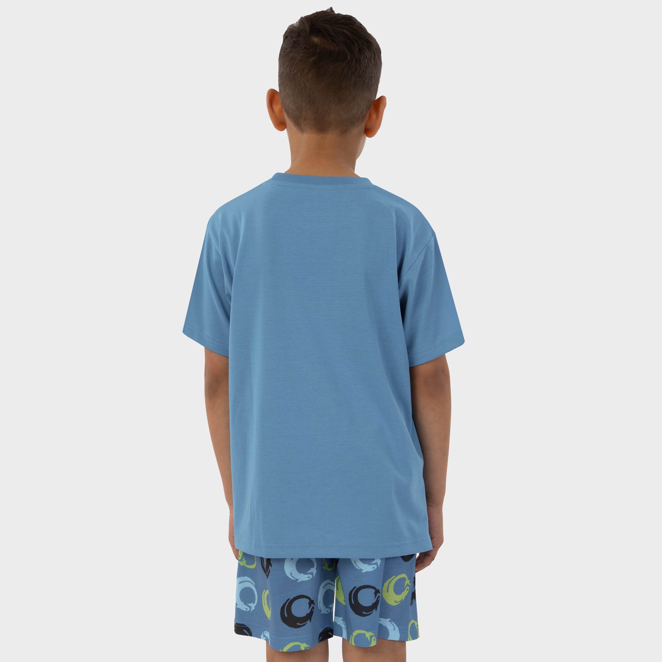 How To Train Your Dragon Short Boys Pyjamas - Character.com