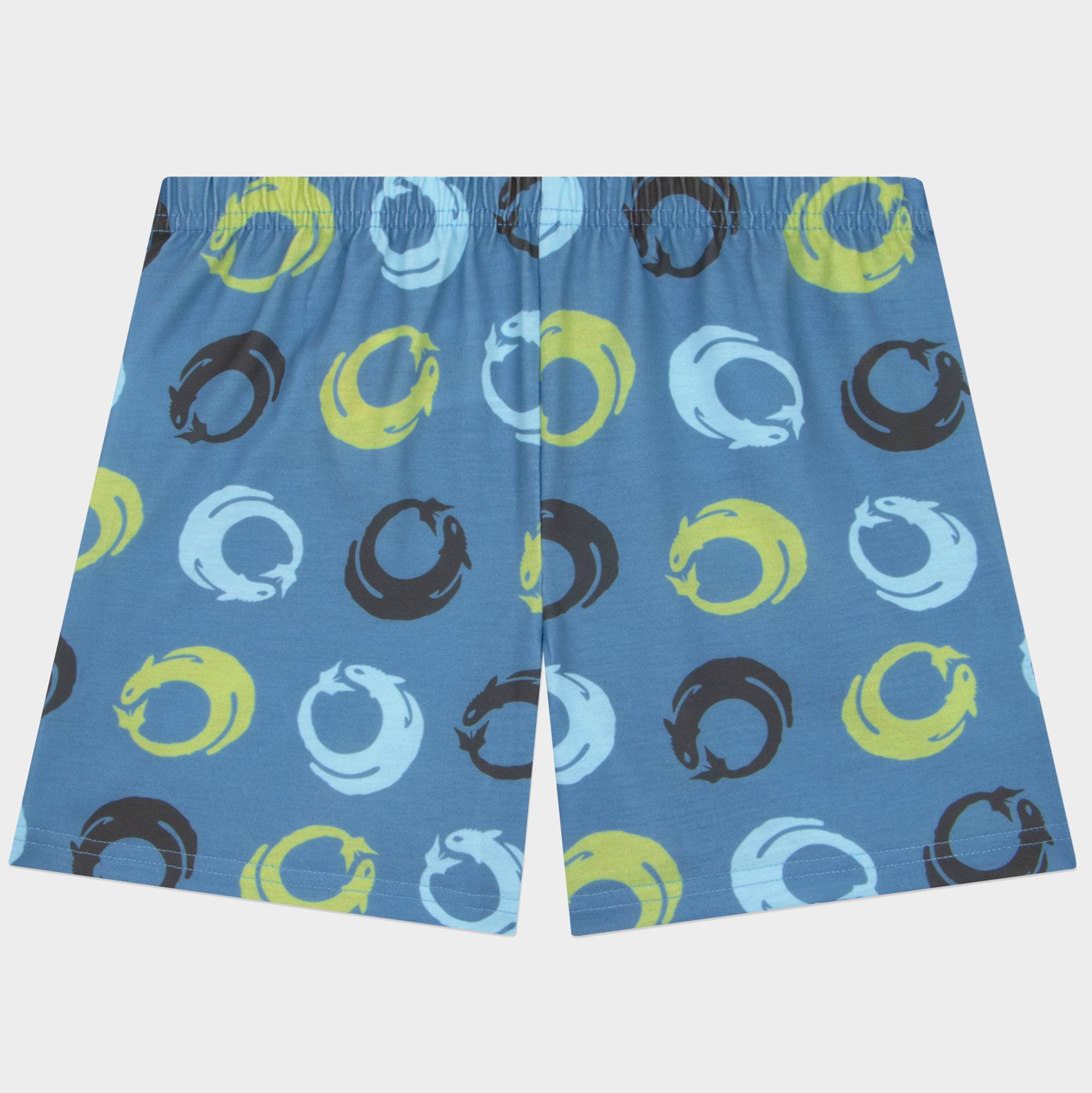 How To Train Your Dragon Short Boys Pyjamas - Character.com