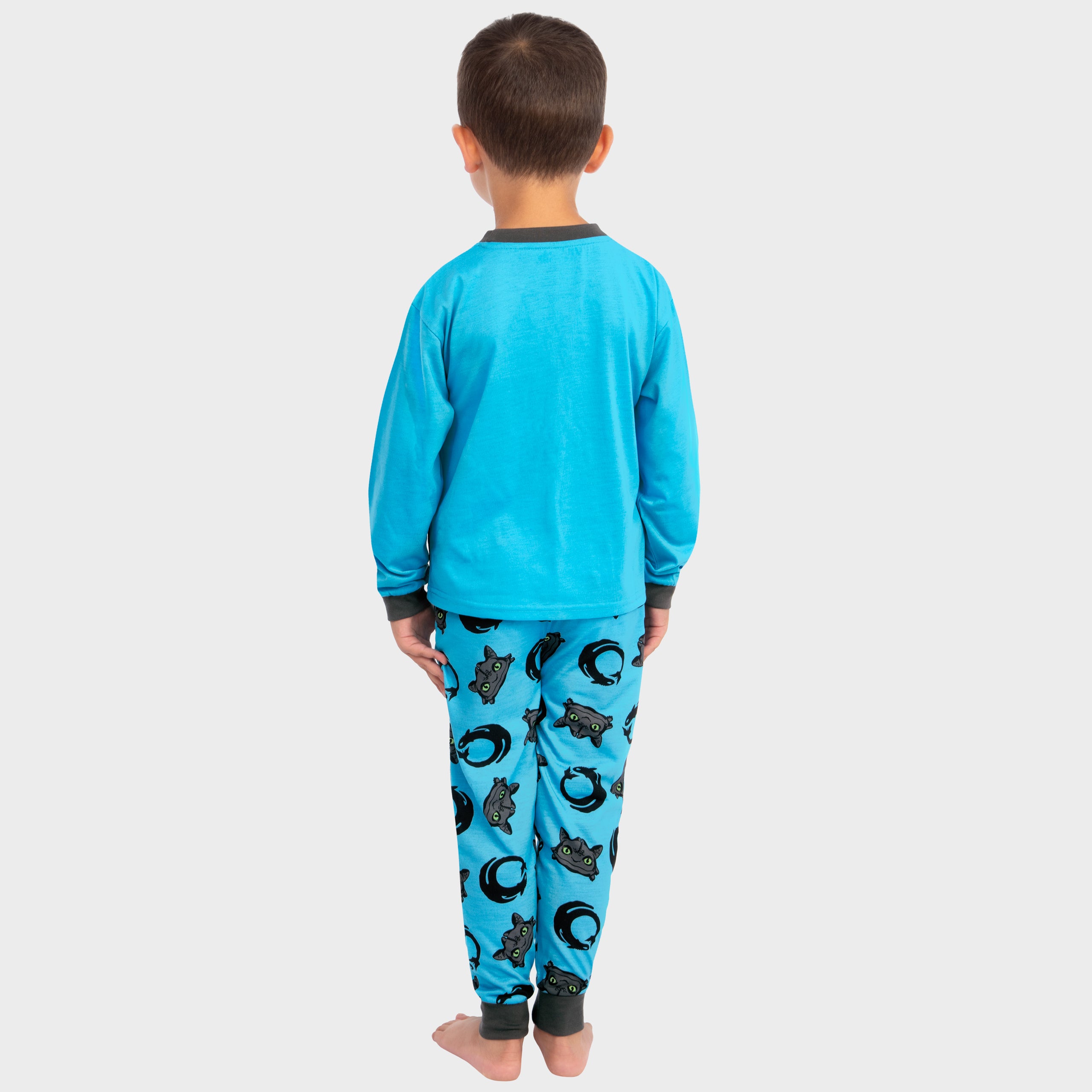How To Train Your Dragon Boys Pyjamas