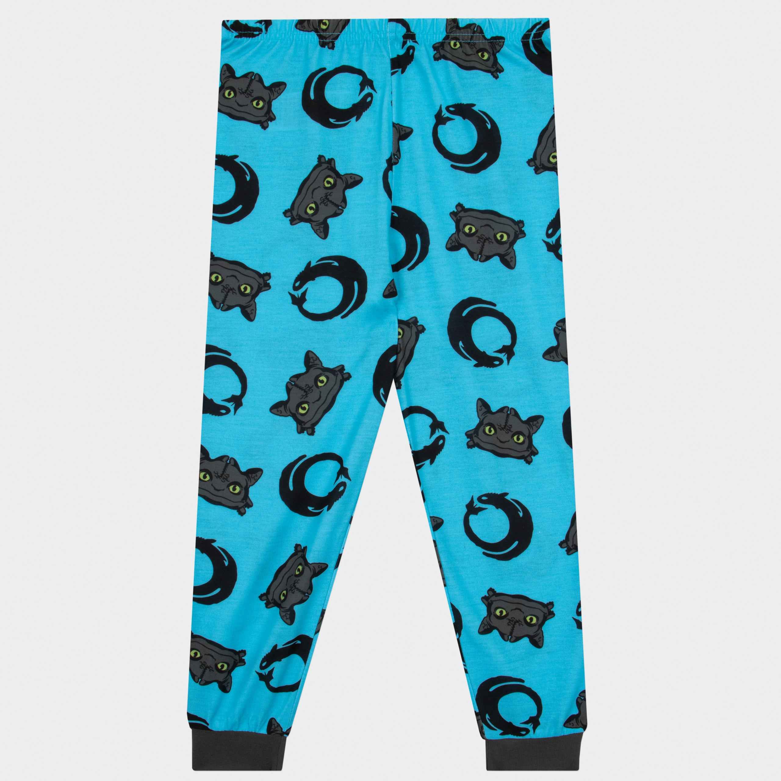 How To Train Your Dragon Long Boy Pyjamas