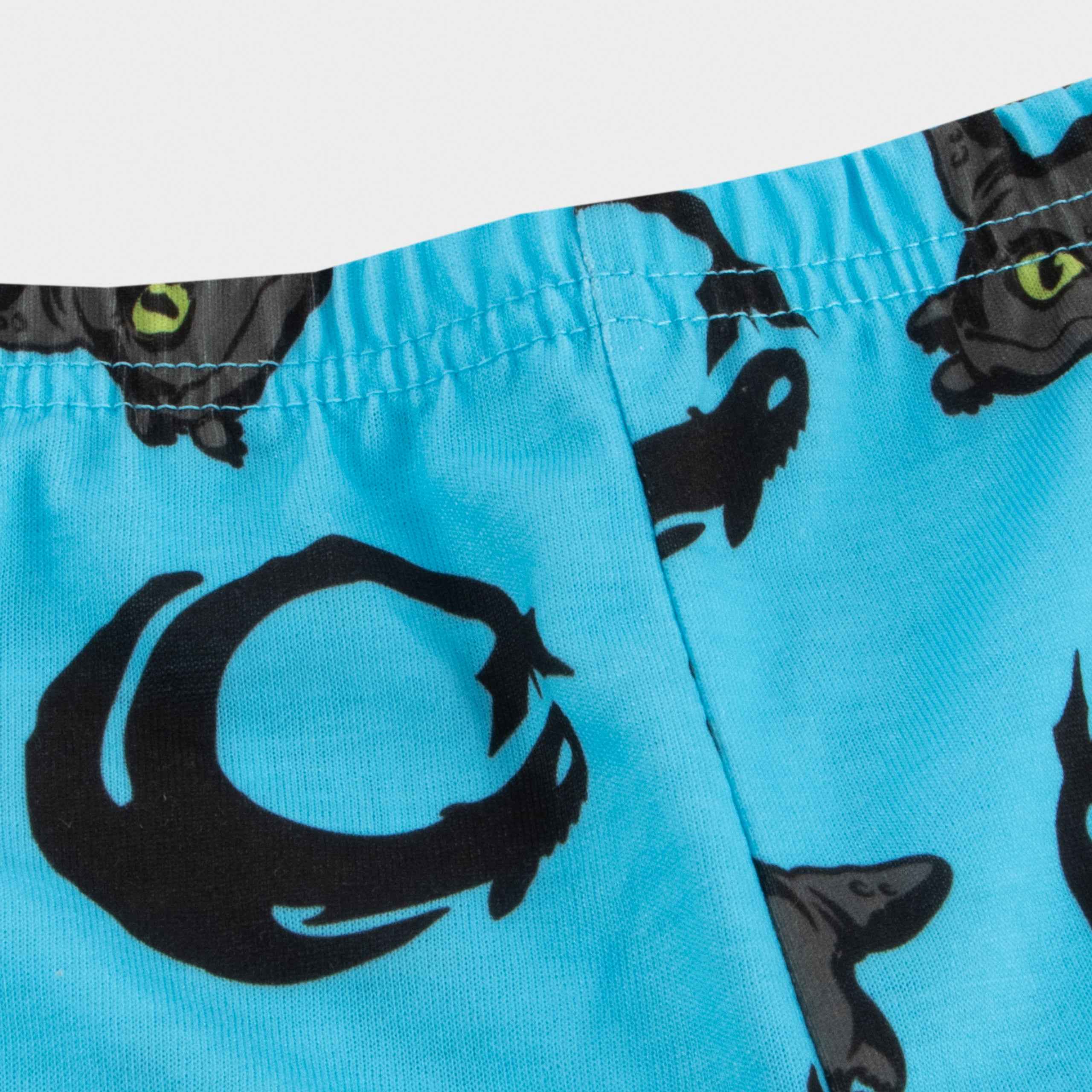 How To Train Your Dragon Long Boy Pyjamas