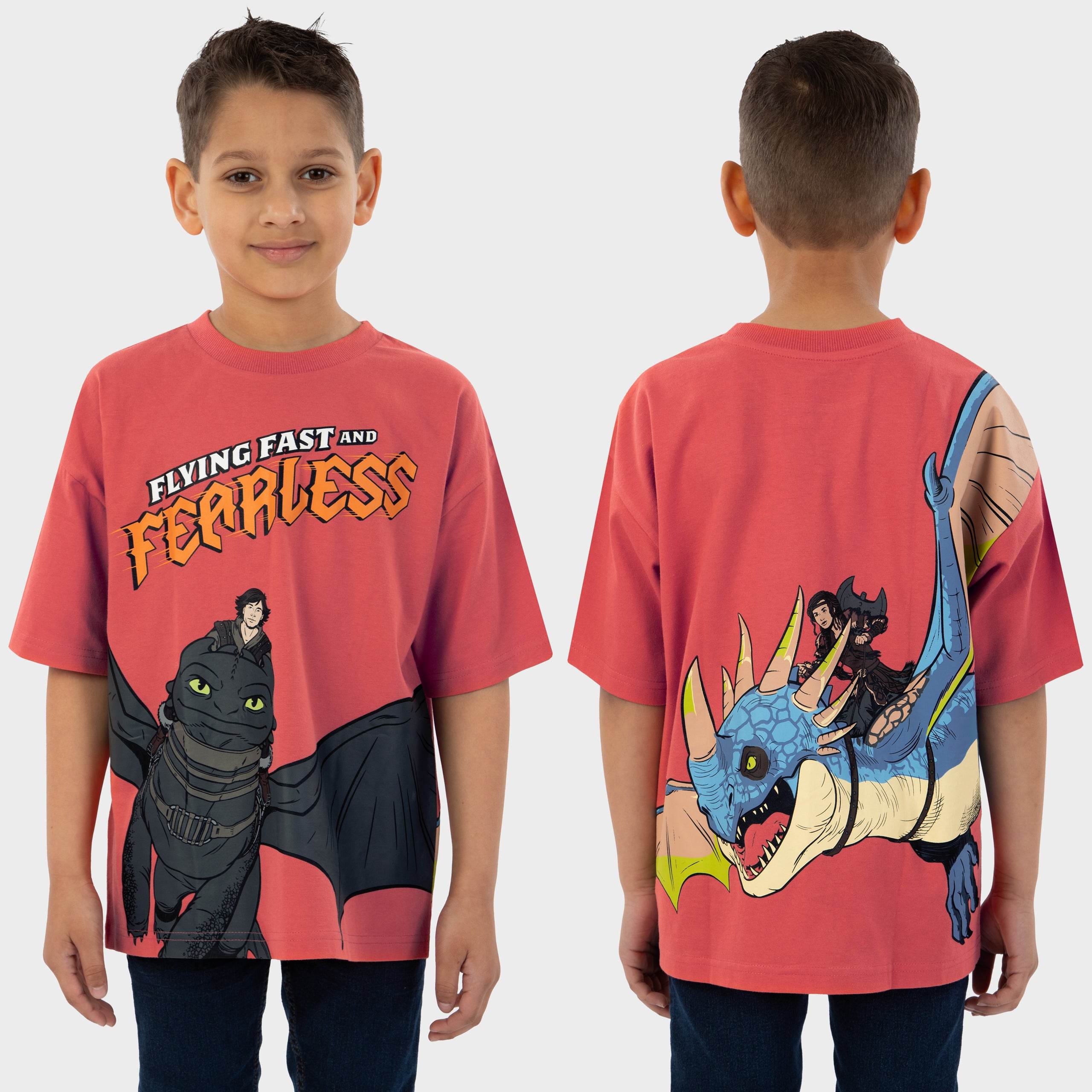 How To Train Your Dragon Tshirt - Character.com