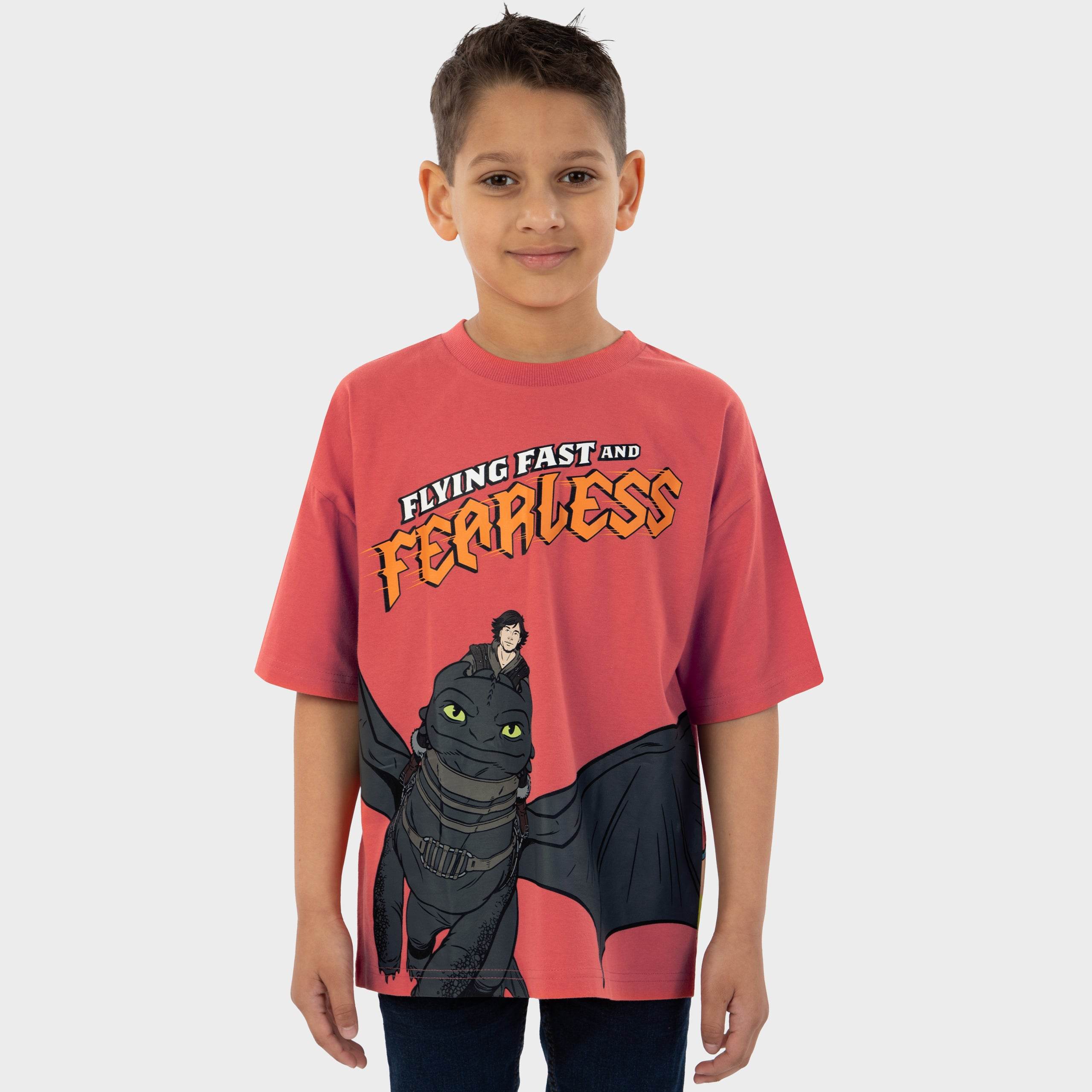 How To Train Your Dragon Tshirt - Character.com