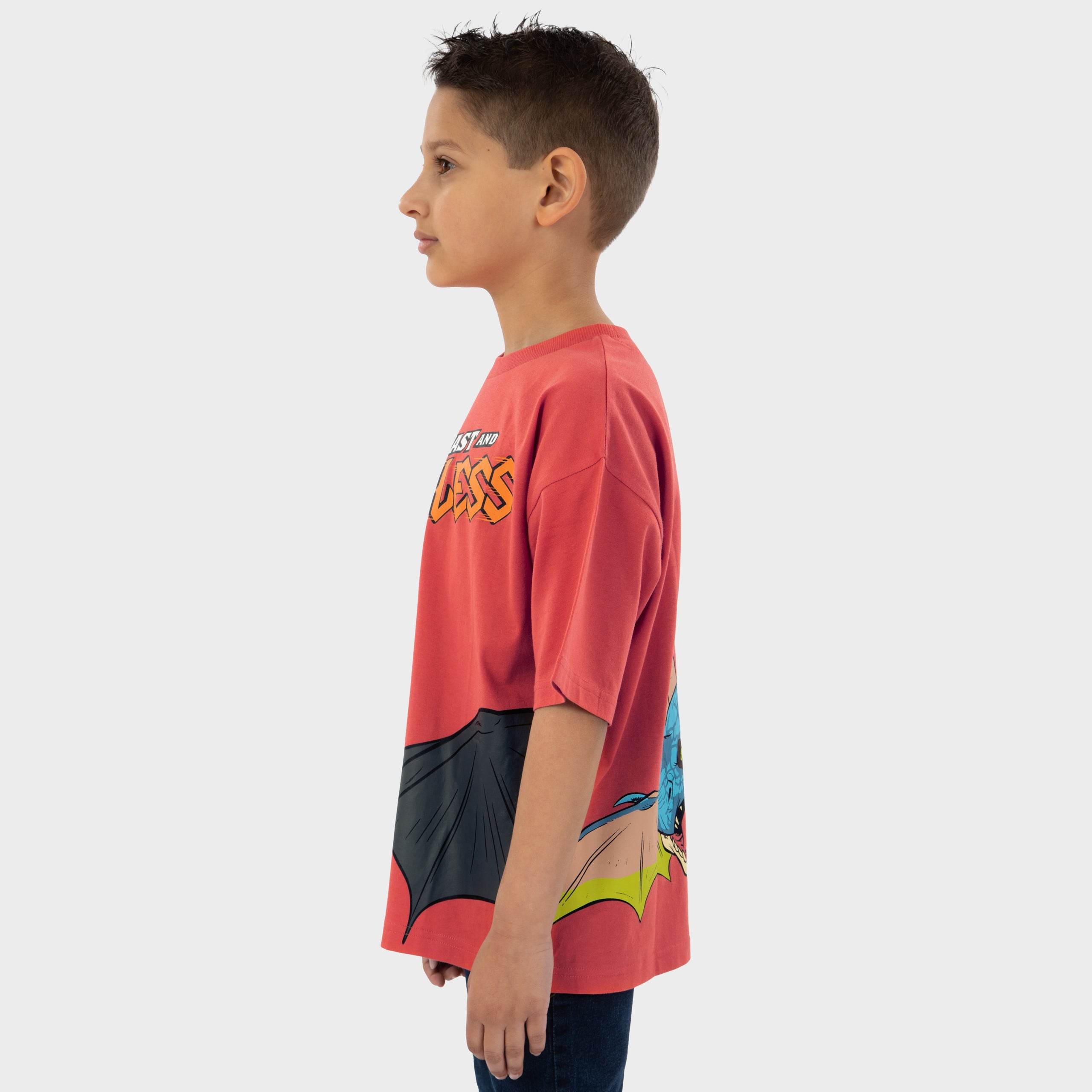 How To Train Your Dragon Tshirt - Character.com