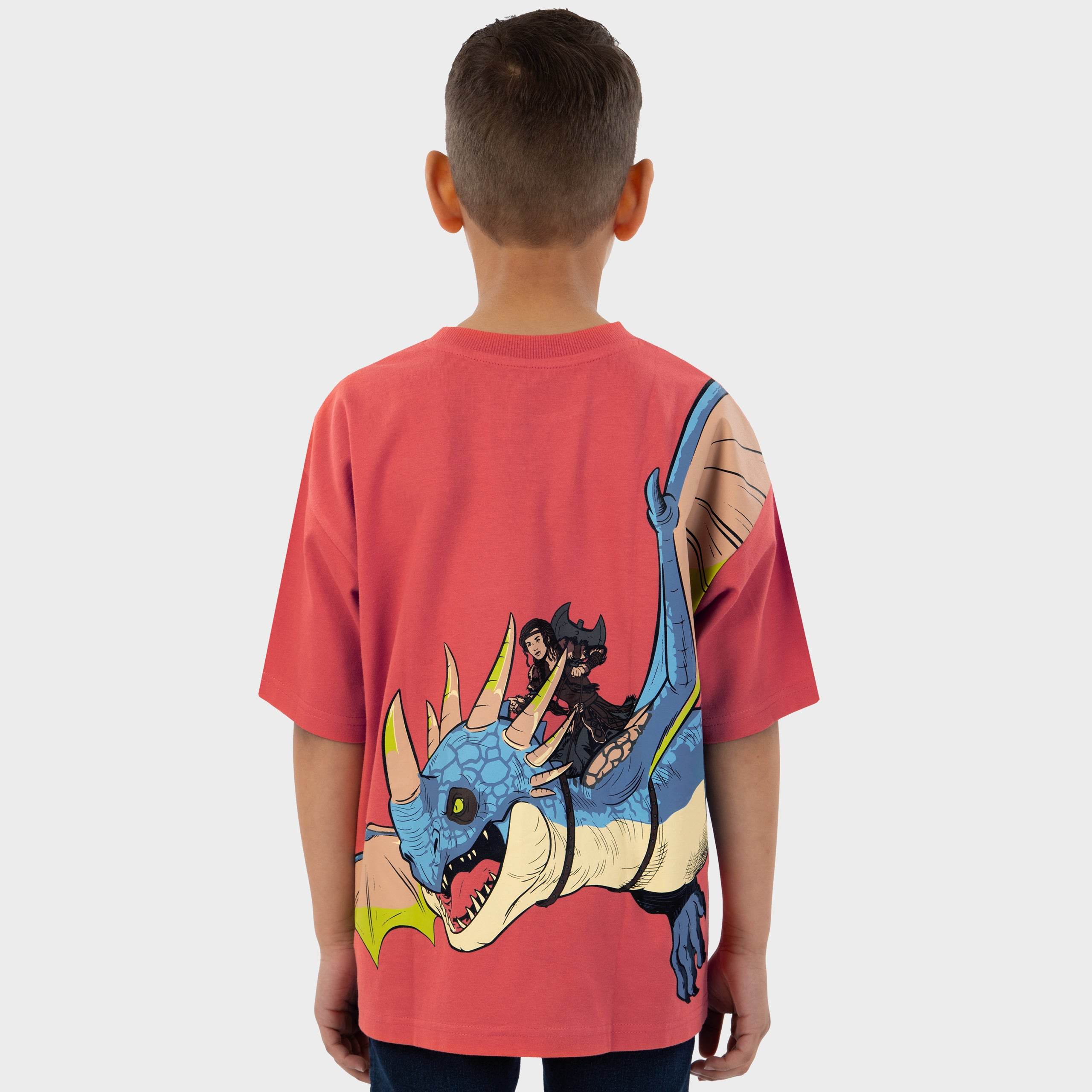 How To Train Your Dragon Tshirt - Character.com