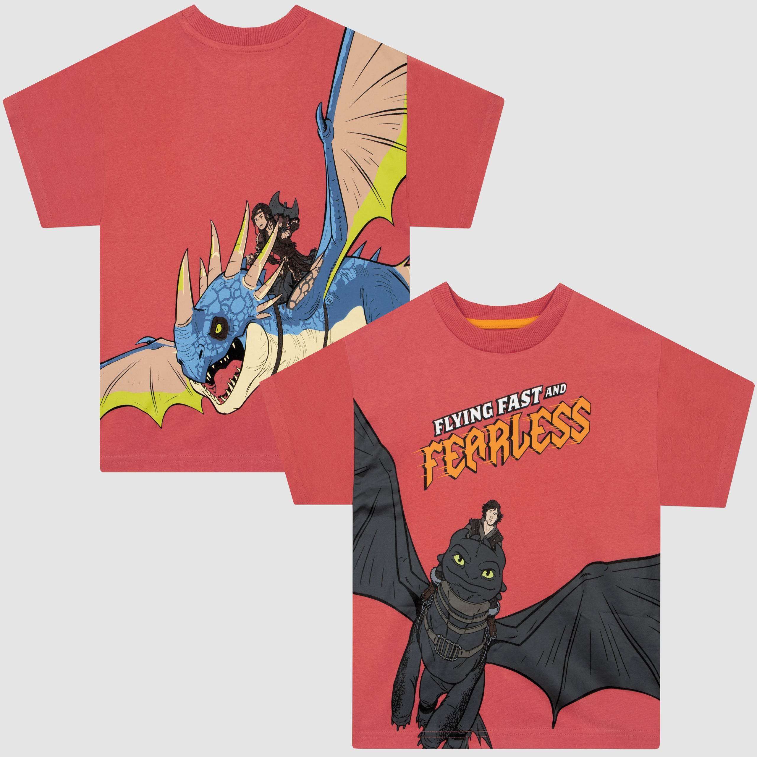 How To Train Your Dragon Tshirt - Character.com