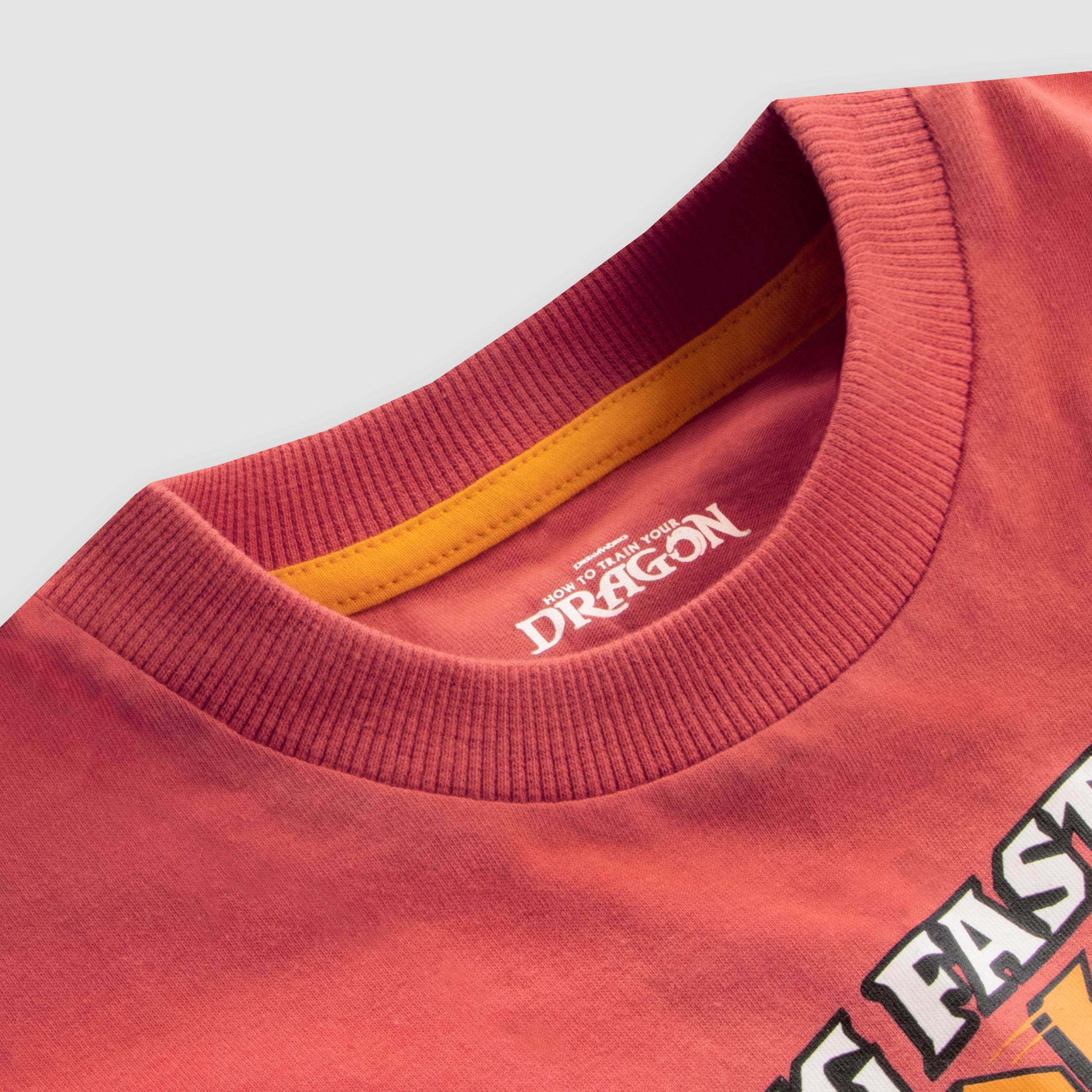 How To Train Your Dragon Tshirt - Character.com