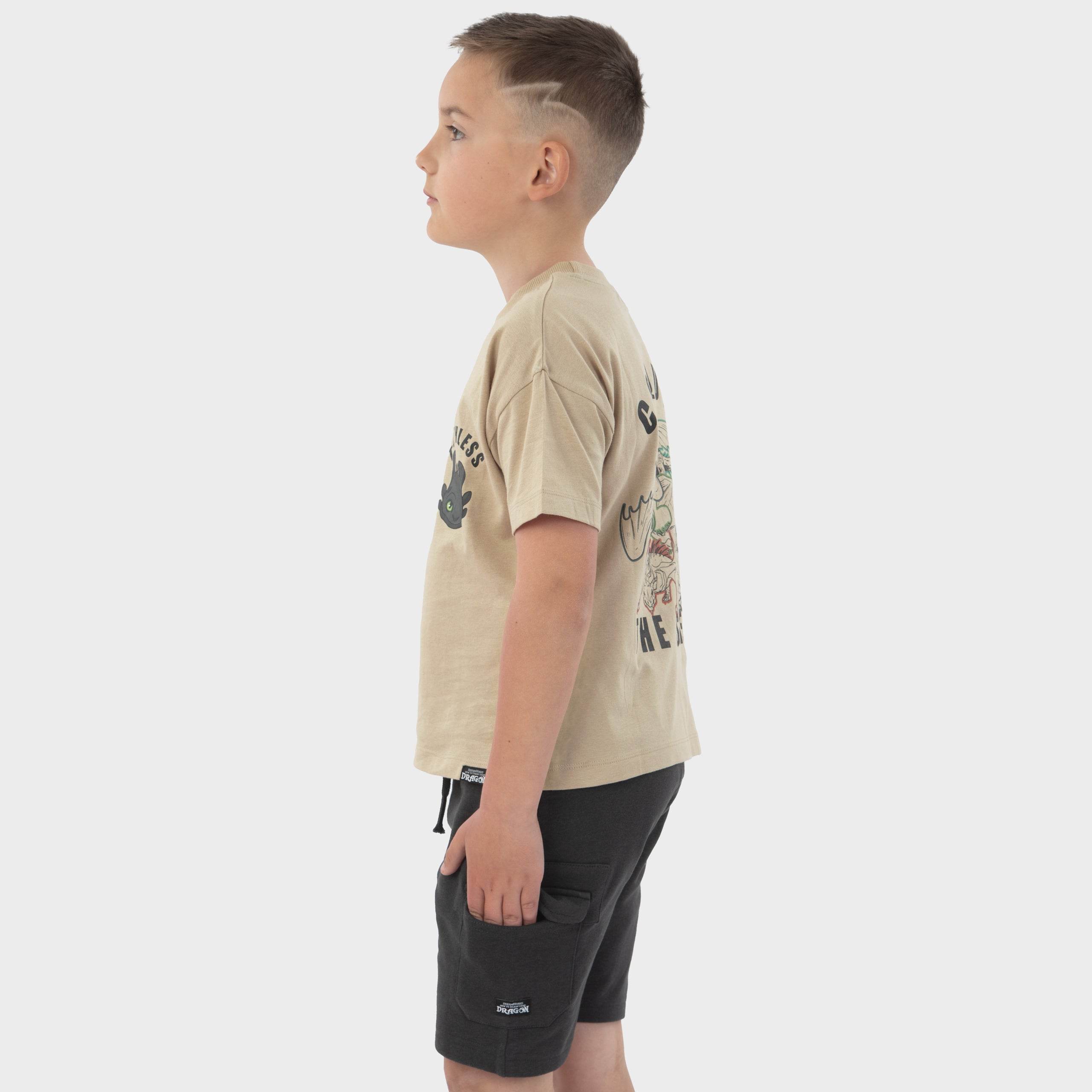 How To Train Your Dragon T-Shirt And Shorts - Character.com