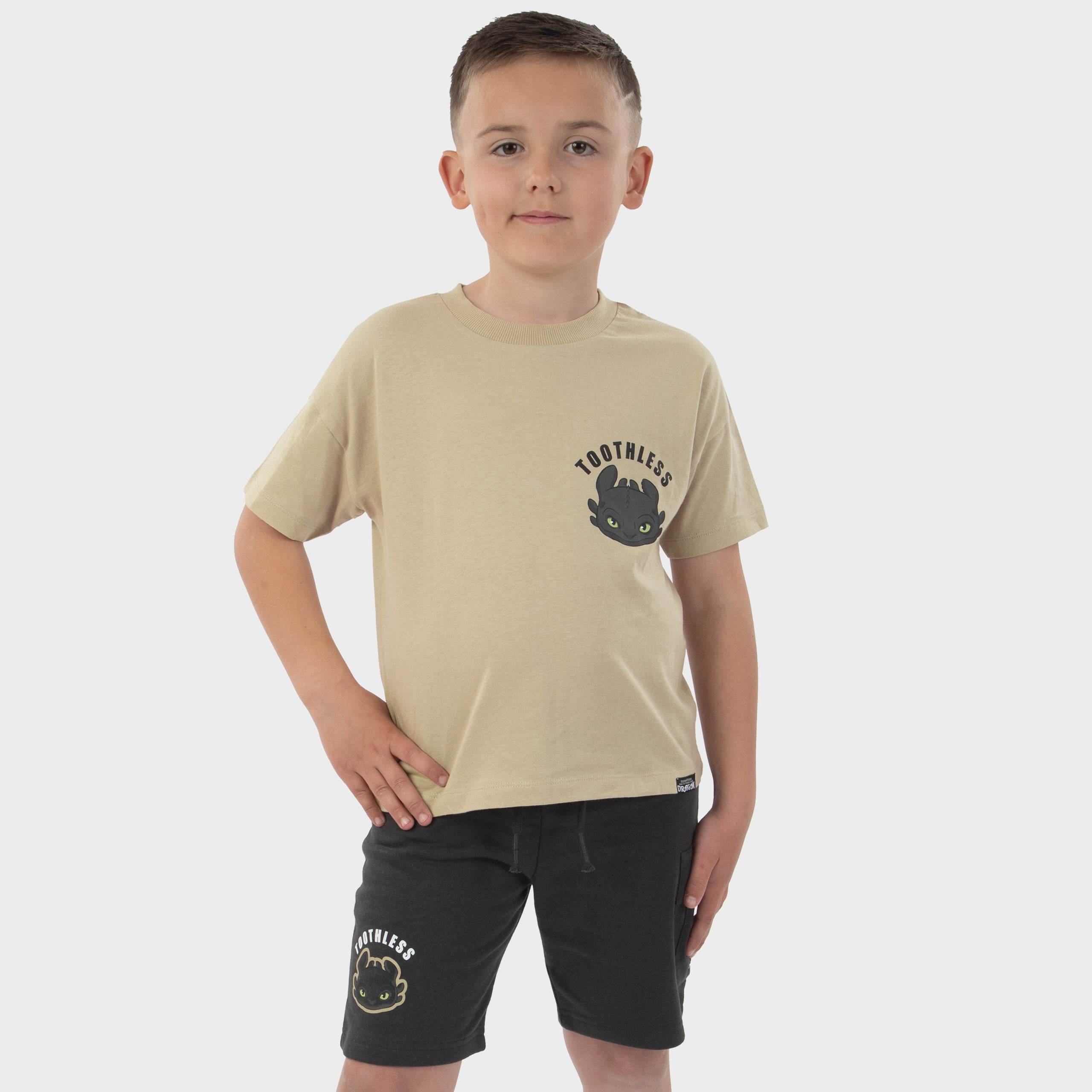 How To Train Your Dragon T-Shirt And Shorts - Character.com
