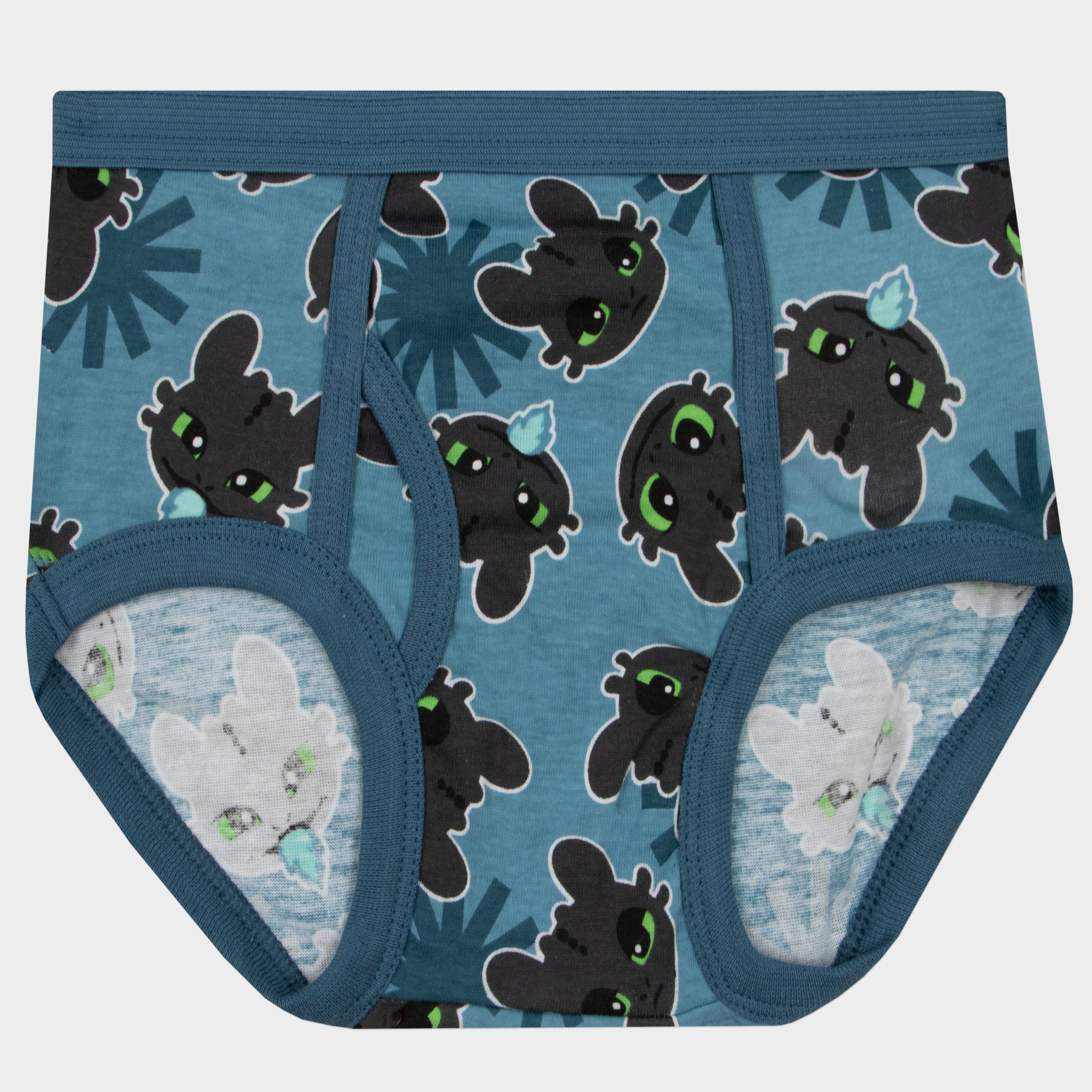 How To Train Your Dragon Boys Underwear - 5 Pack