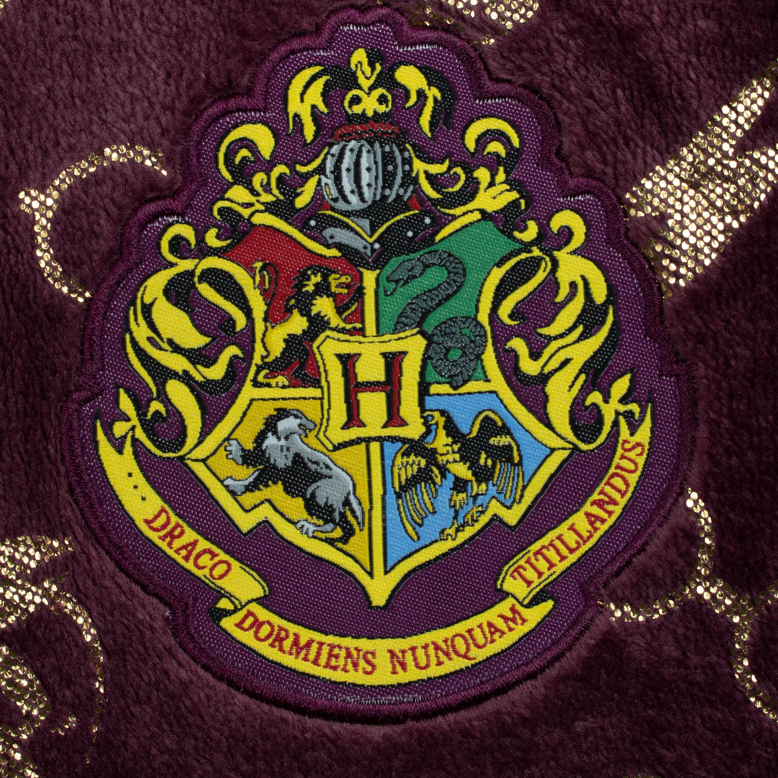 Harry Potter Onesie - Hogwarts - Character.com