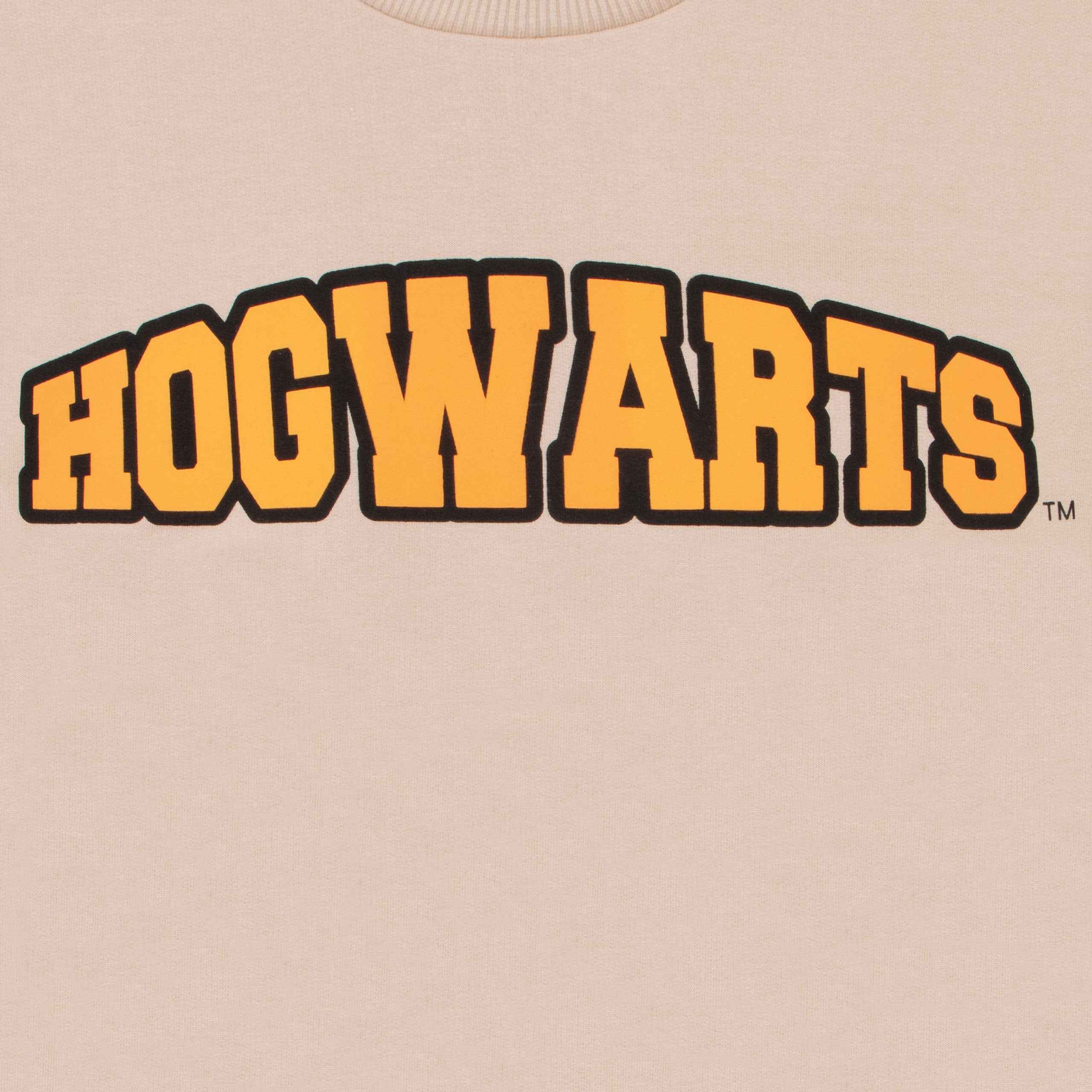 Harry Potter Sweatshirt And Jogger Set