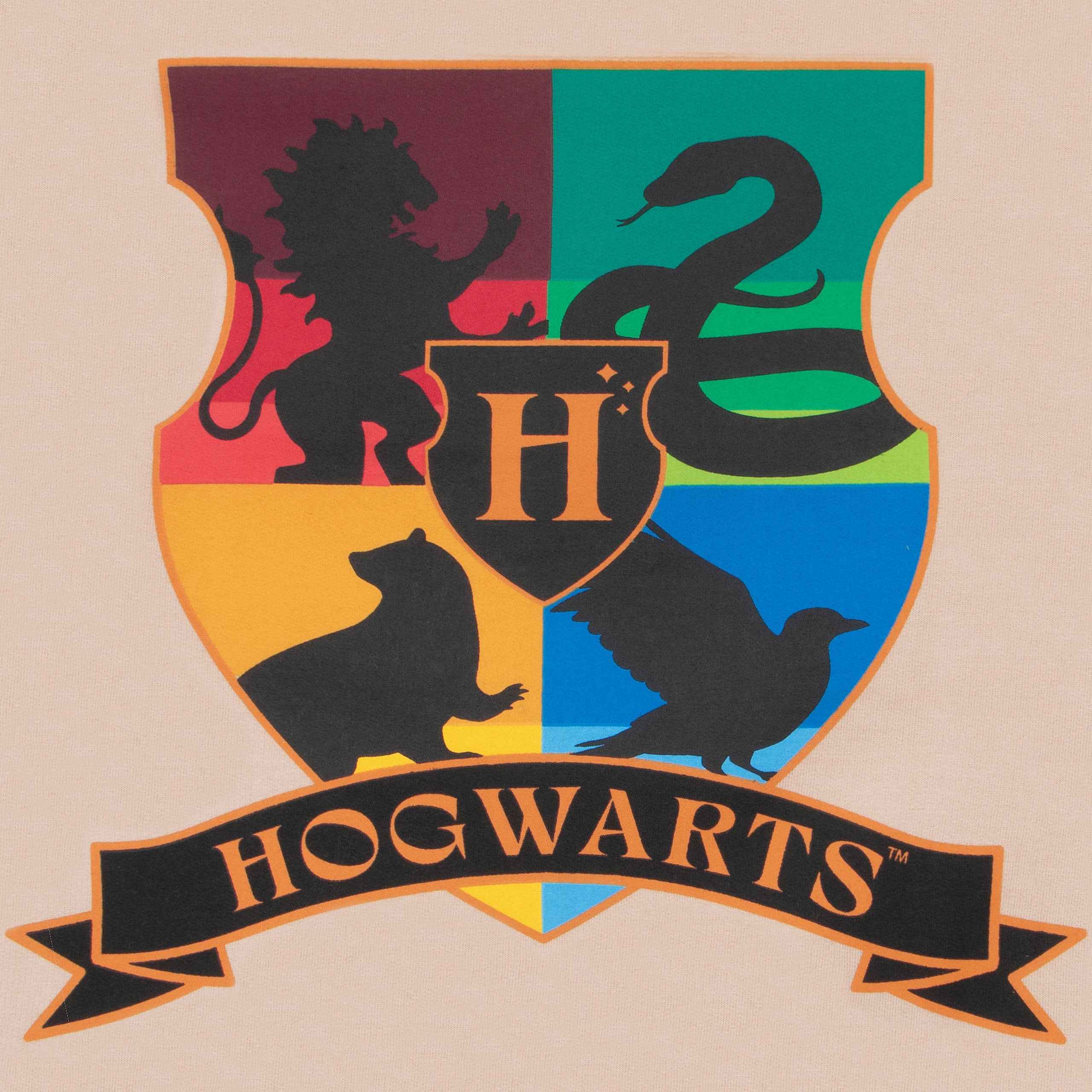 Harry Potter Sweatshirt And Jogger Set