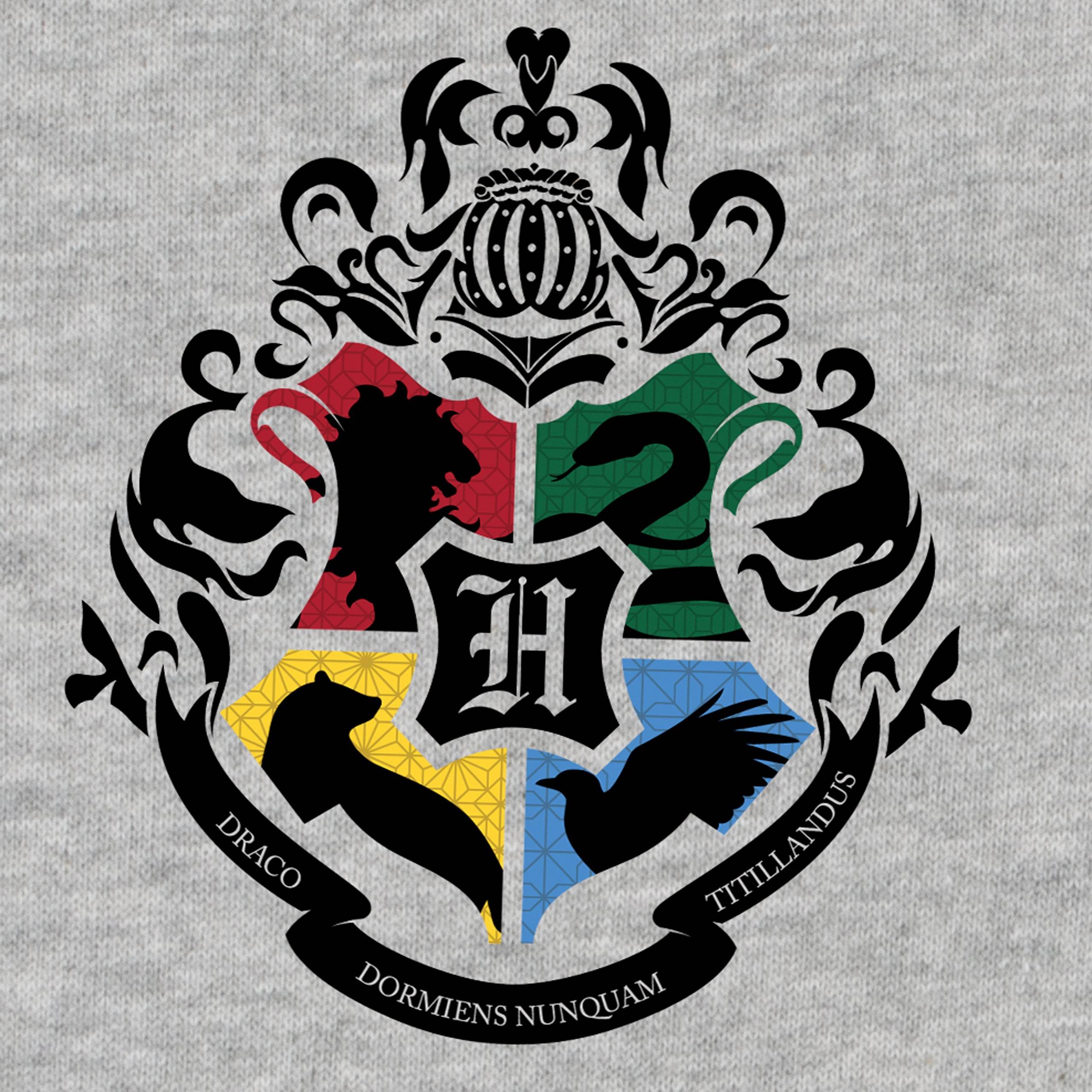 Womens Harry Potter Quidditch Sweatshirt - Character.com