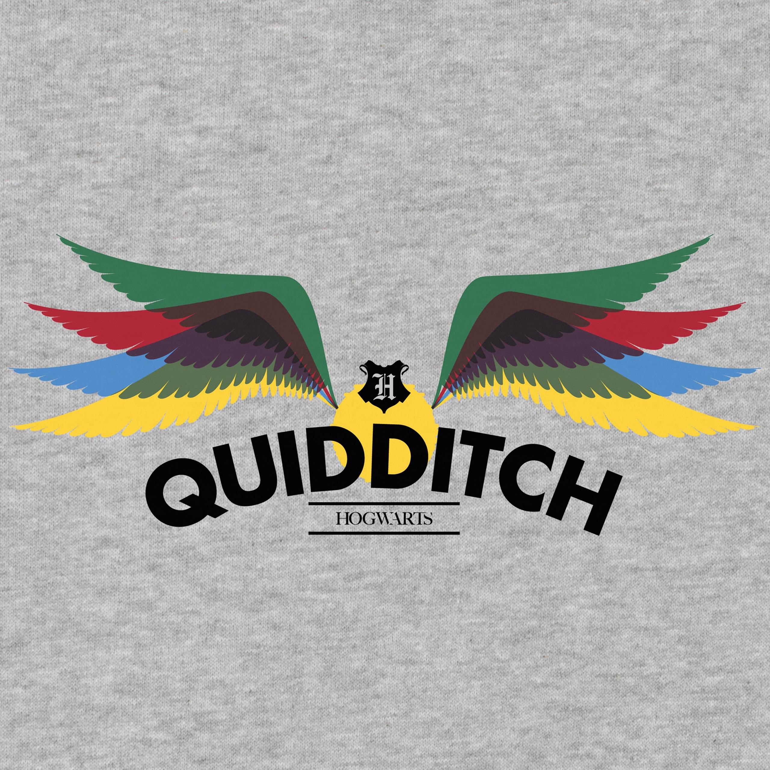 Womens Harry Potter Quidditch Sweatshirt - Character.com