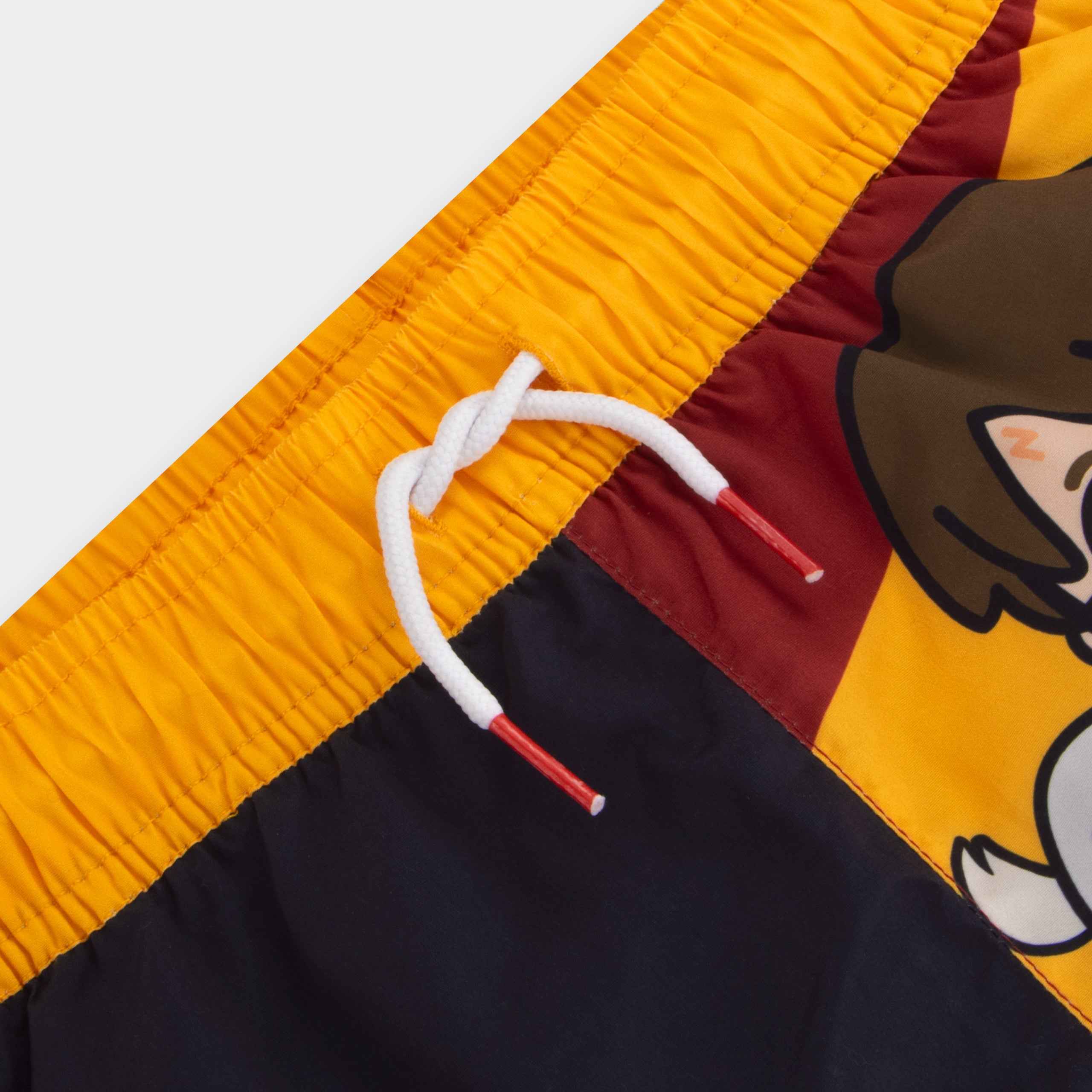 Harry Potter Swim Shorts