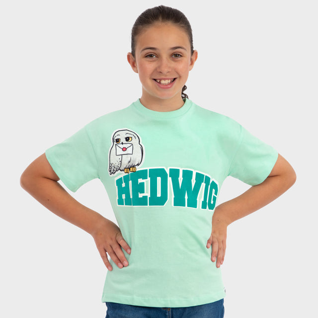 Harry Potter Short Sleeve Hedwig Boxy T-shirt