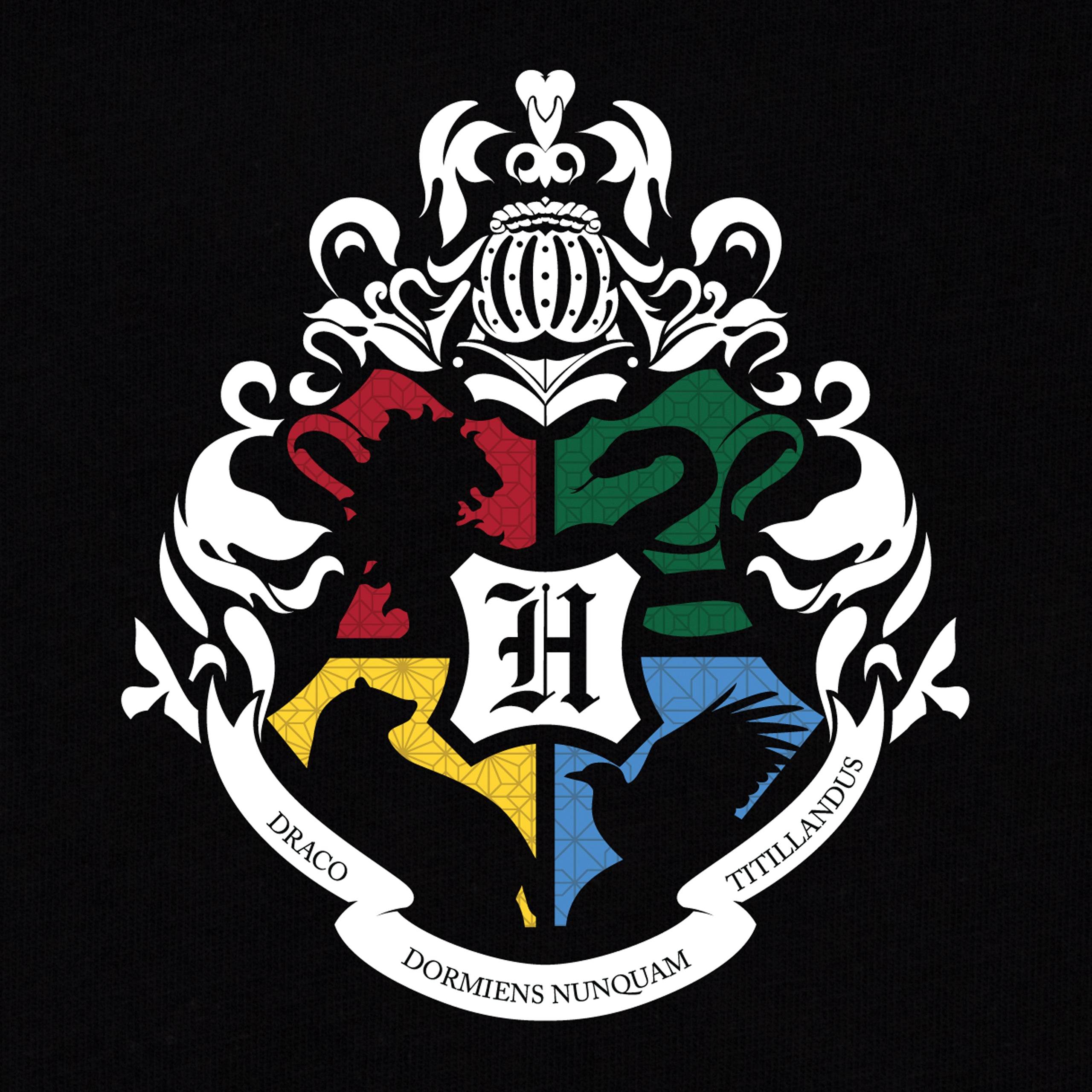 Mens Harry Potter Quidditch T-Shirt - Character.com