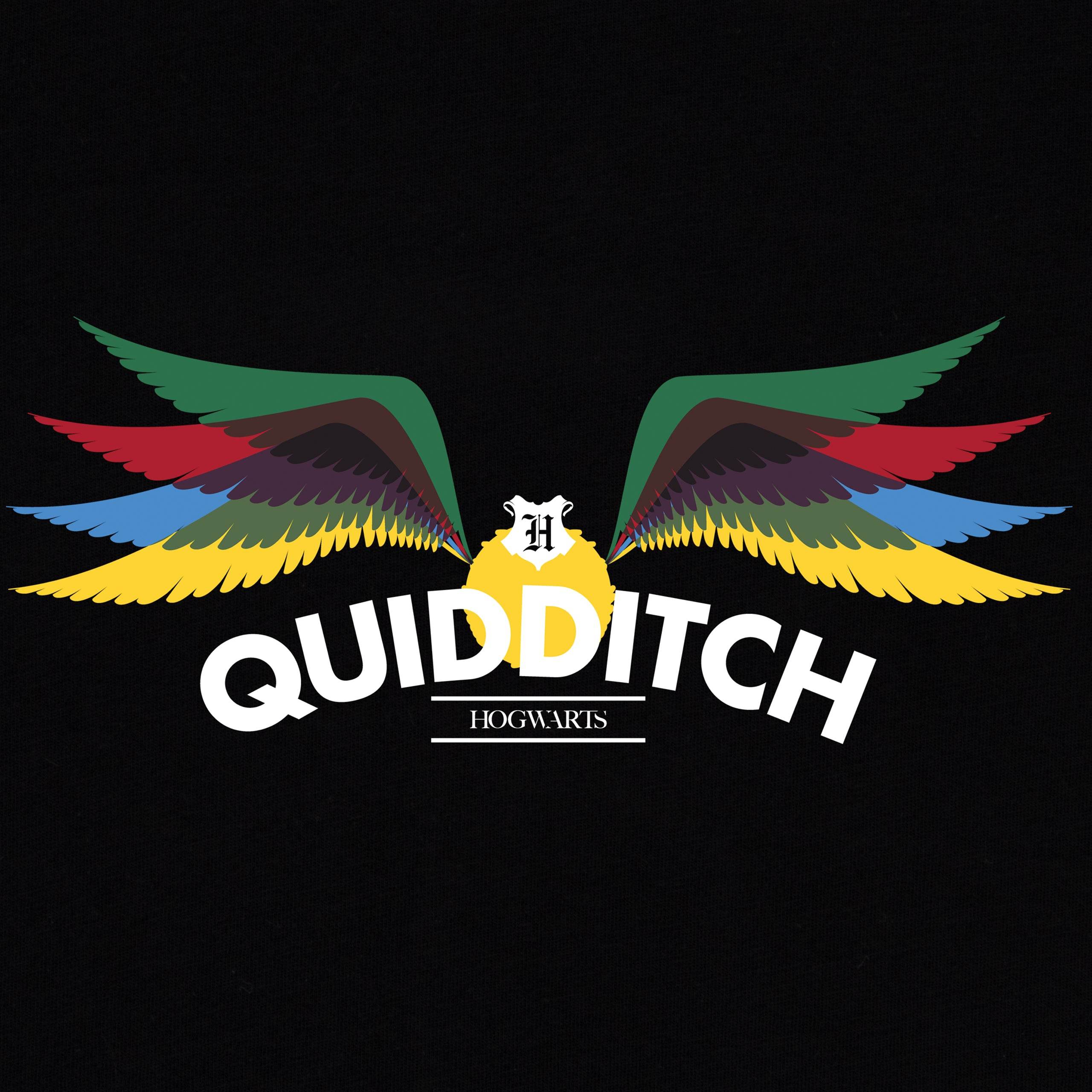 Mens Harry Potter Quidditch T-Shirt - Character.com