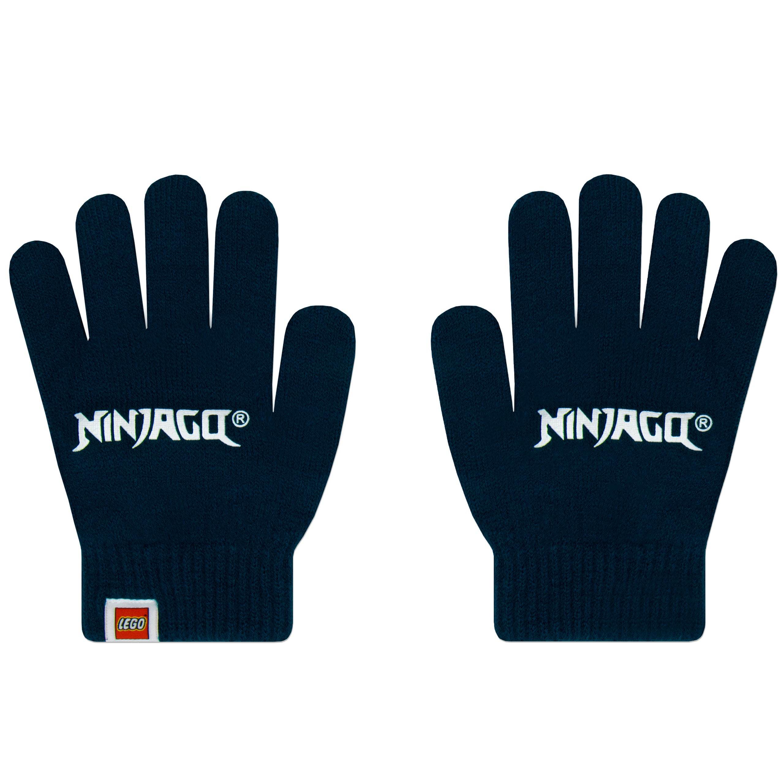 LEGO Ninjago Winter Set - Character.com