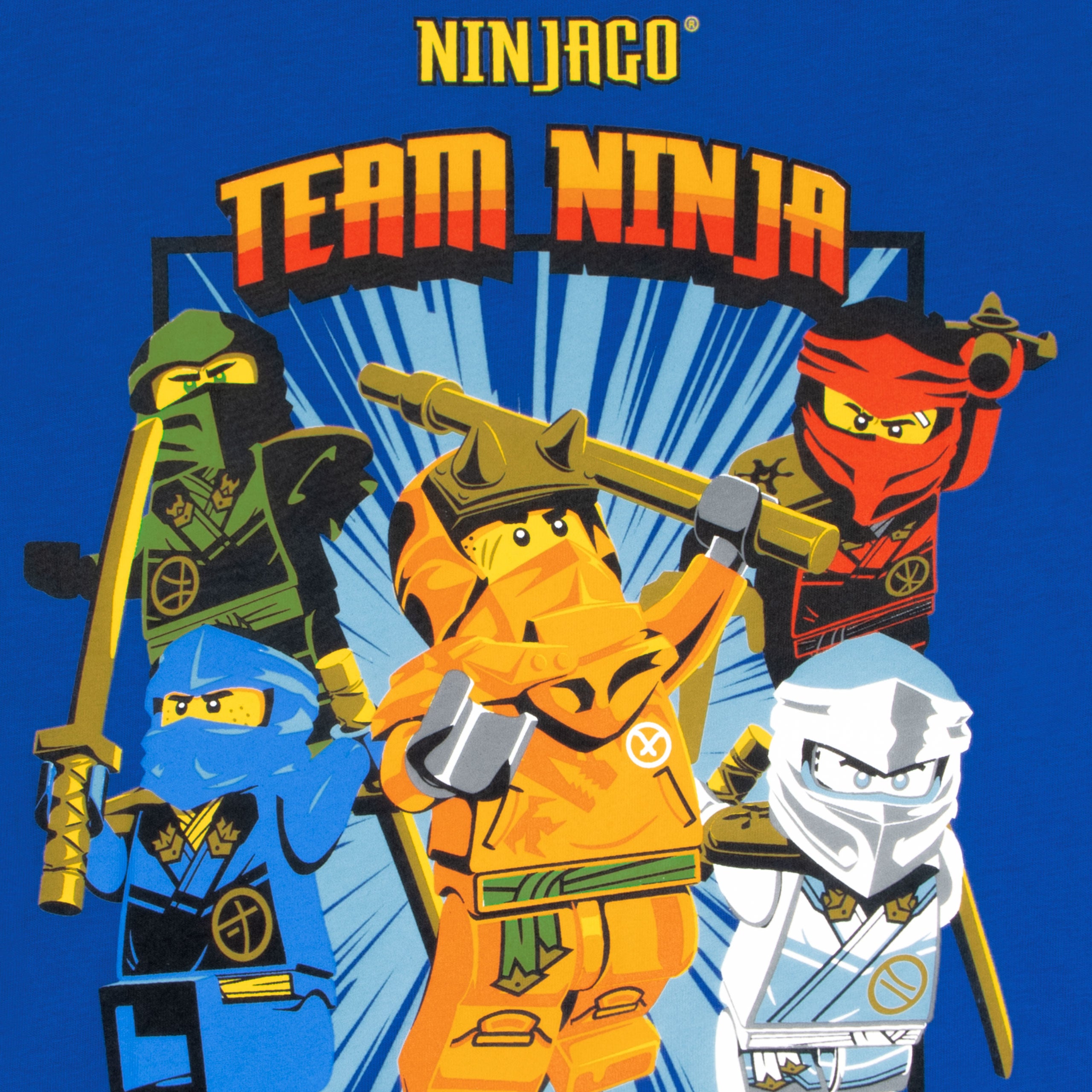 Lego Ninjago Team Ninja T-Shirt