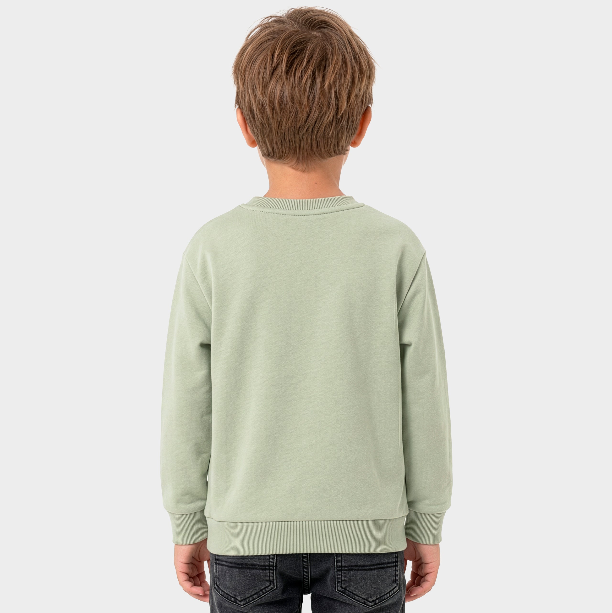 Minions And Monsters Overlord Sweatshirt
