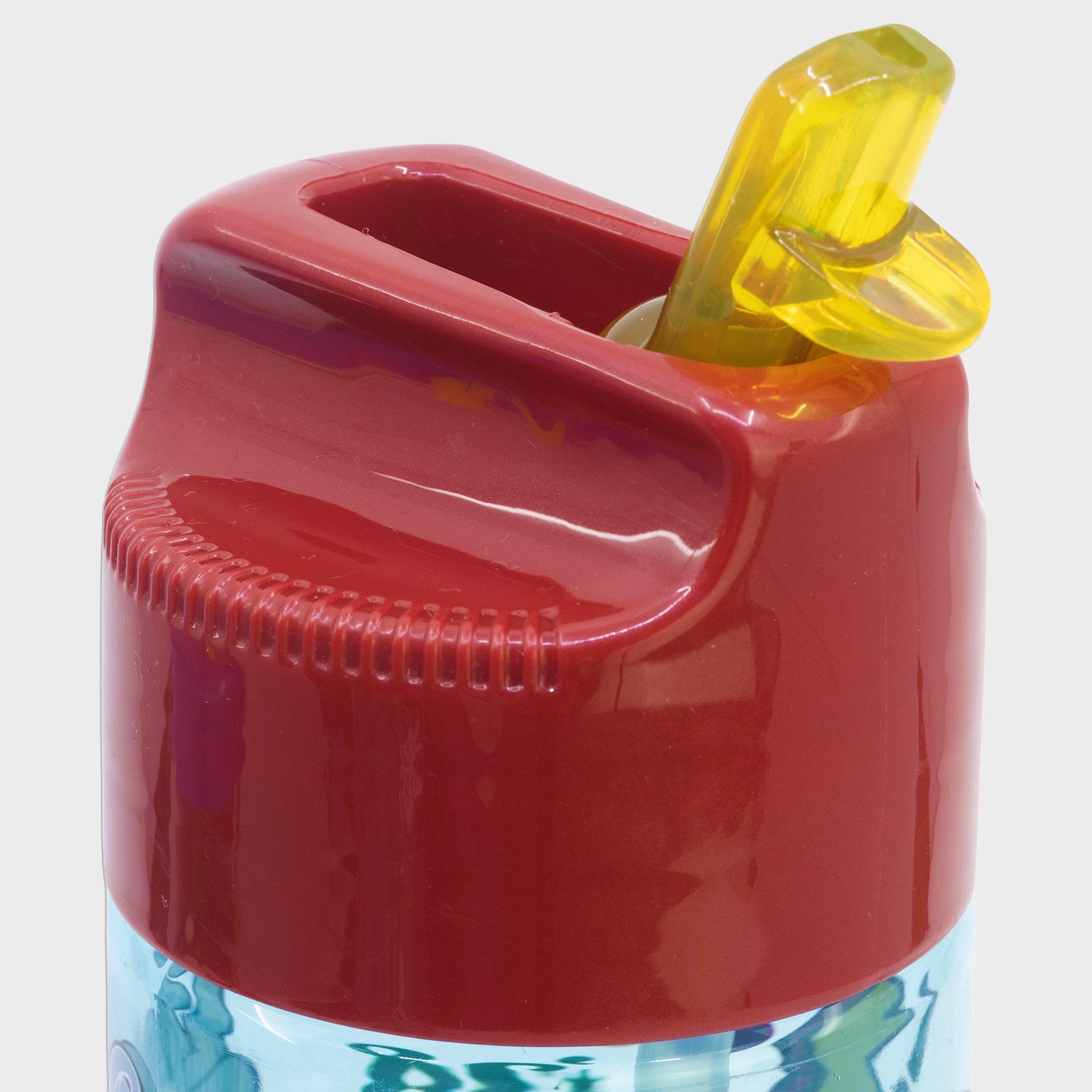 Mickey Mouse Water Bottle