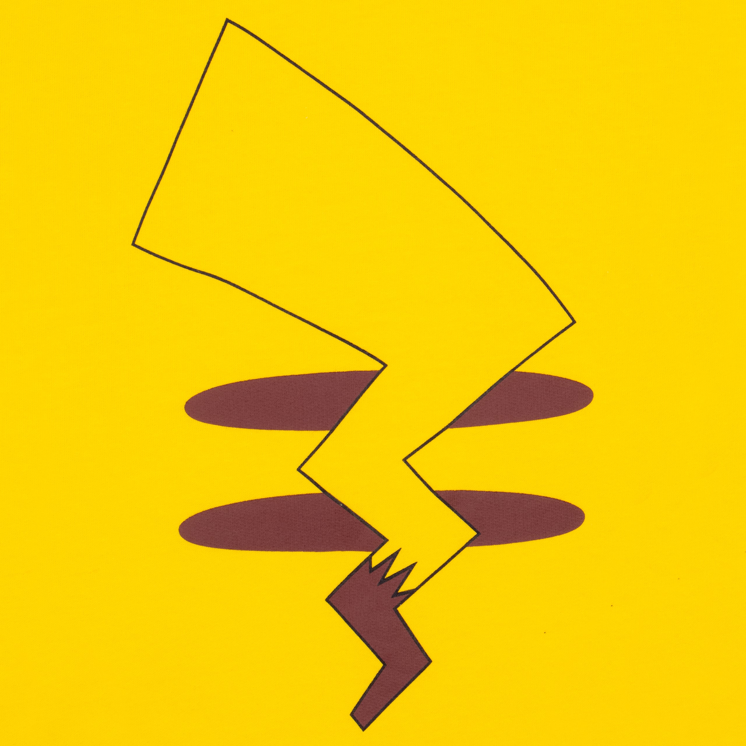 Pokemon Pikachu Hoodie With 3D Ears