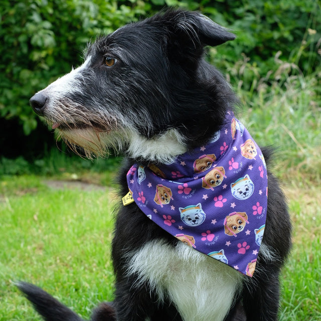 PAW Patrol Dog Bandana - Purple