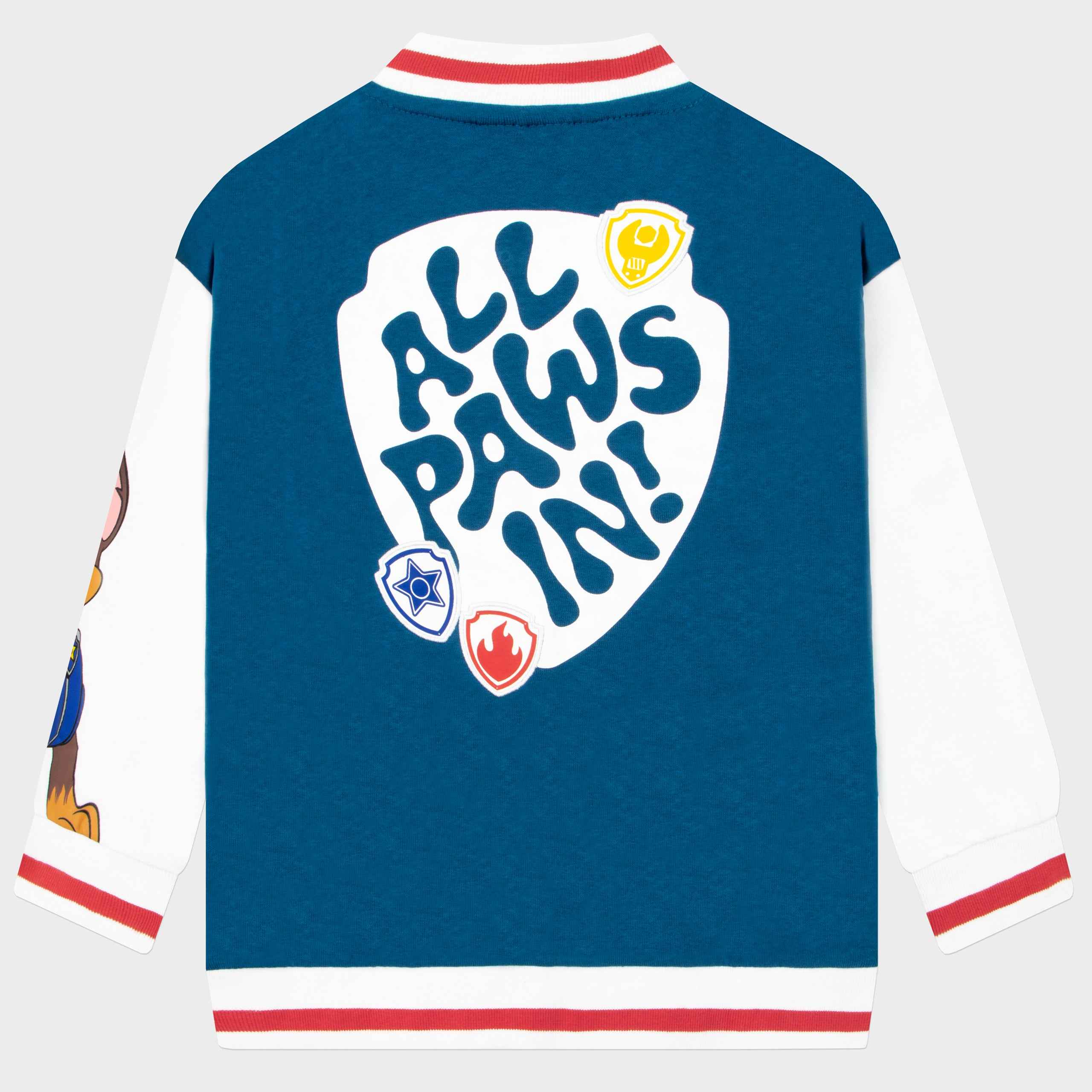 Boy Skye Paw Patrol Face Swap ID:962871