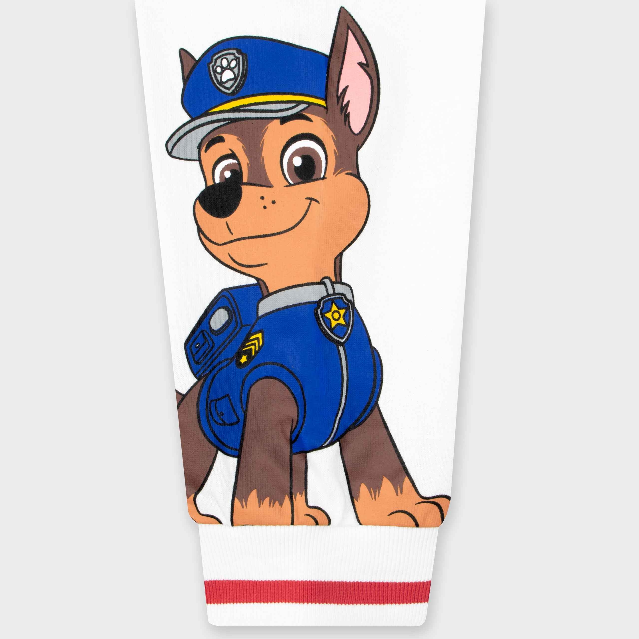 Boy Skye Paw Patrol Face Swap ID:962871