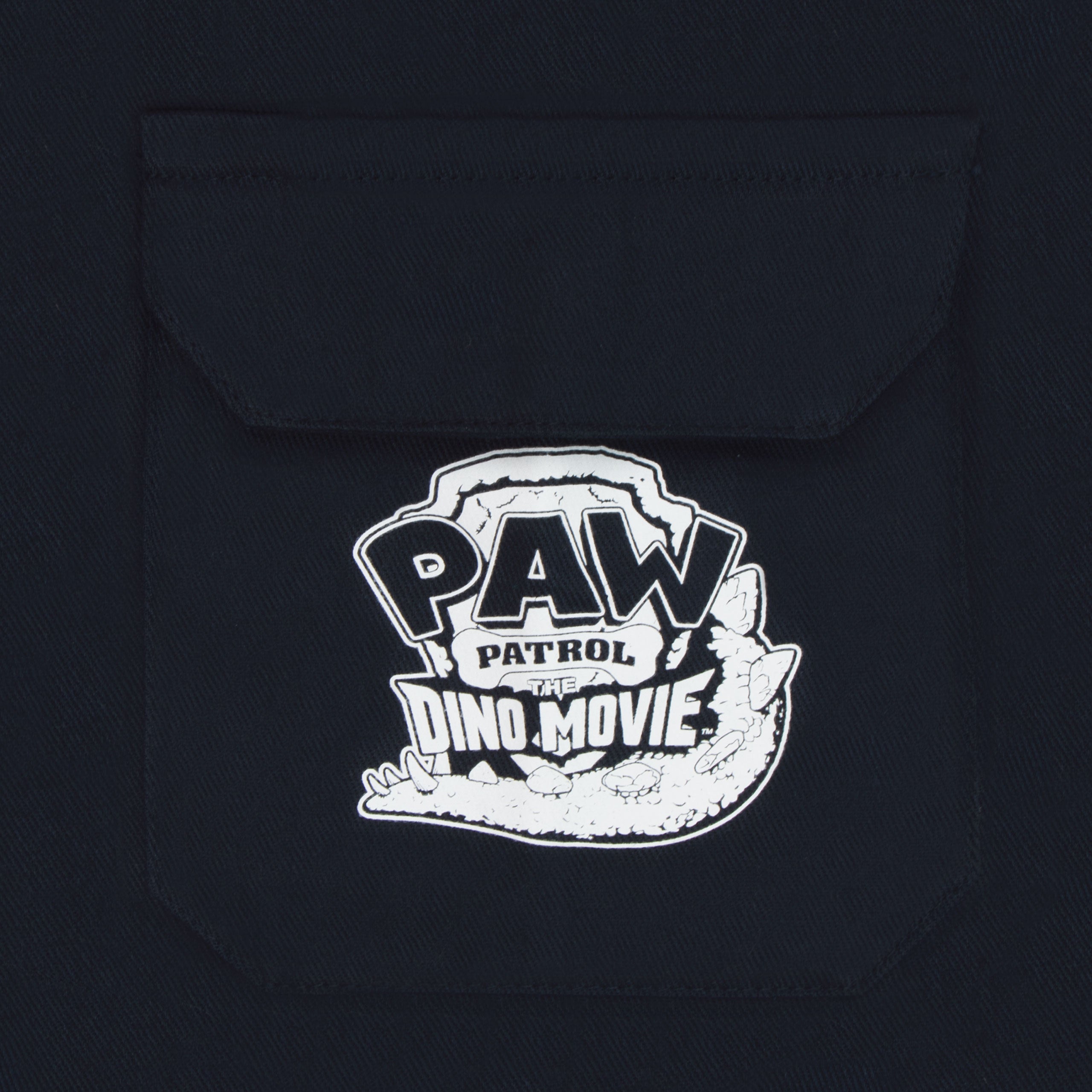 PAW Patrol Dino Movie Top & Joggers Set