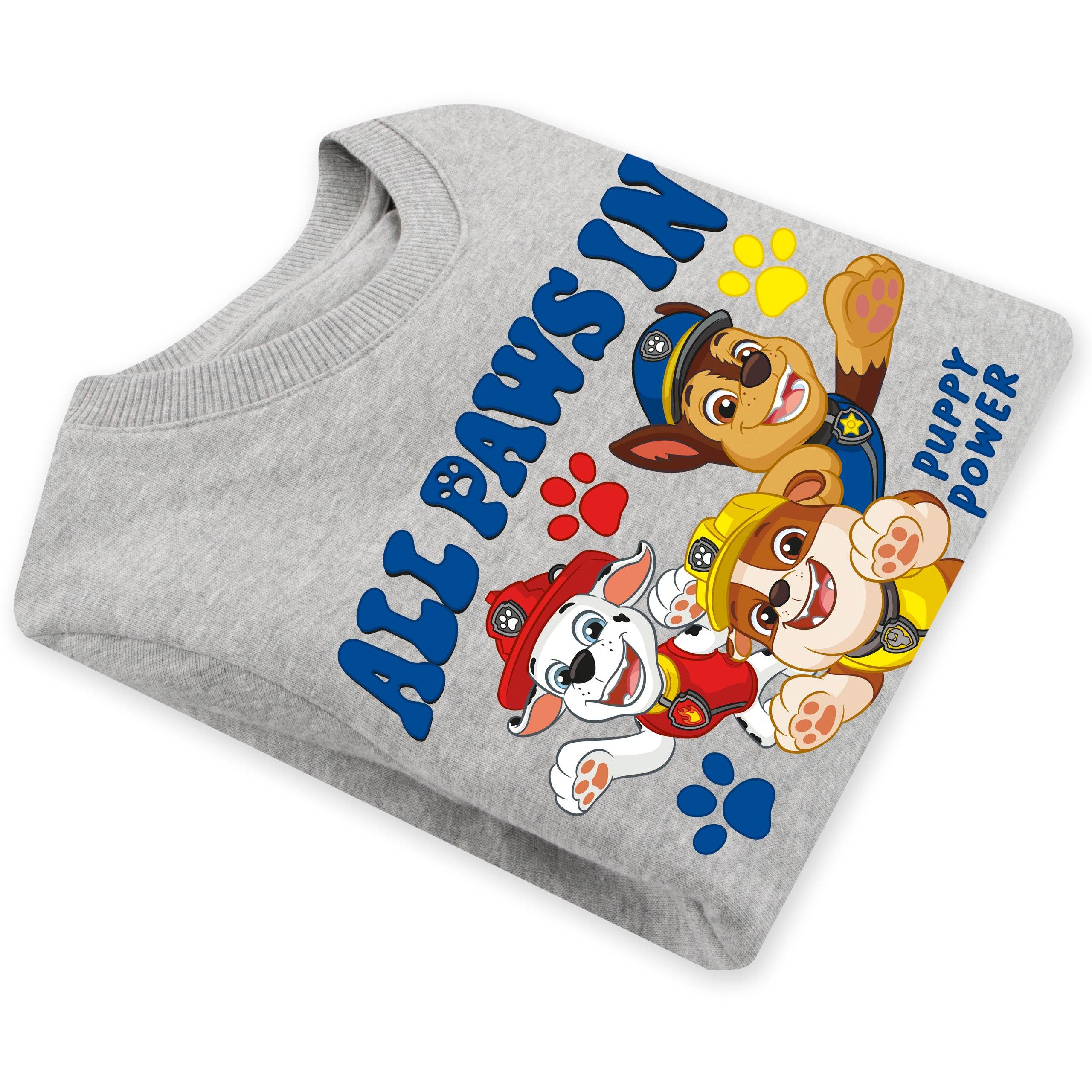 Sweatshirt PAW Patrol Œuf De Pâques Craquelé – Sweat Officiel Enfant Nickelodeon