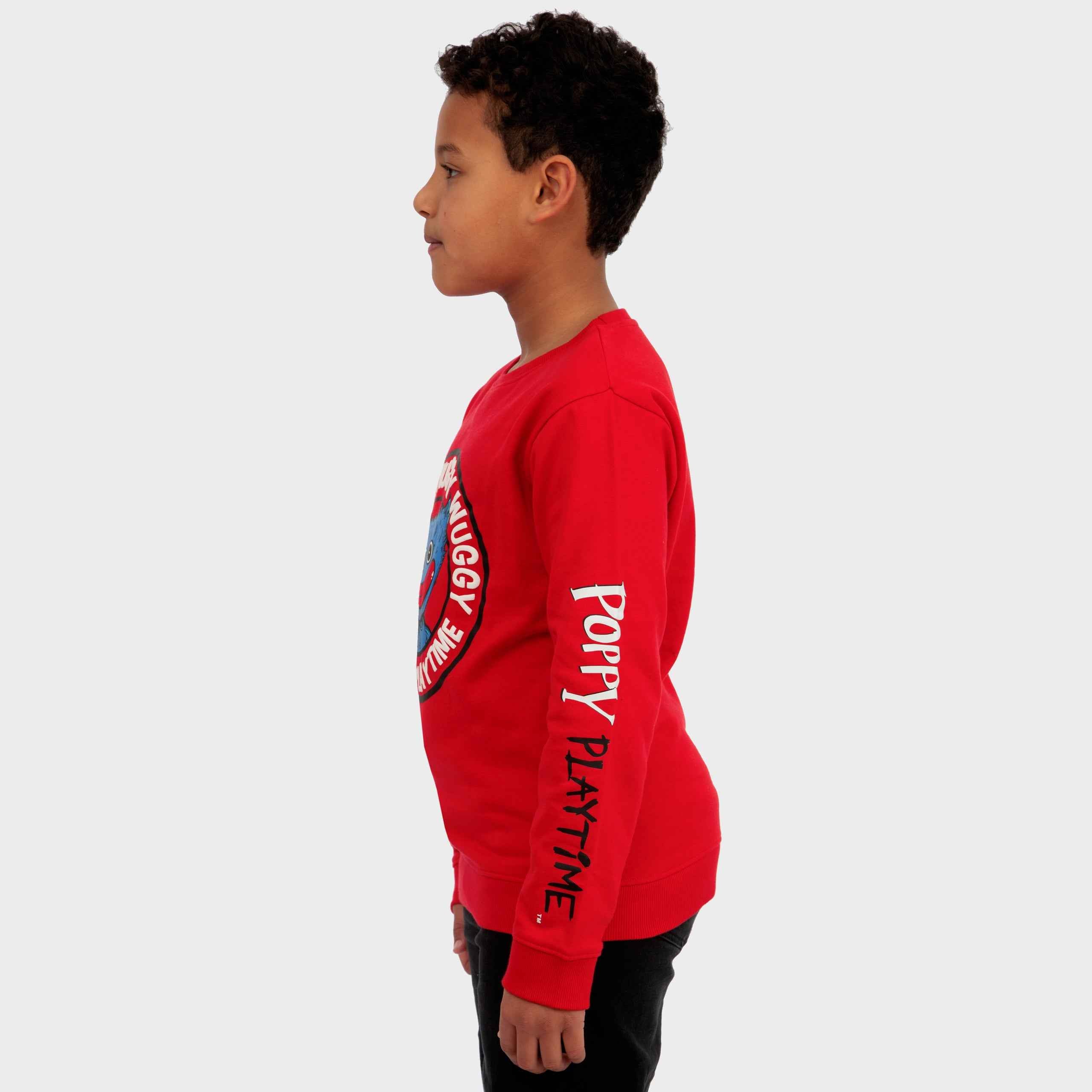 Poppy Playtime Sweatshirt