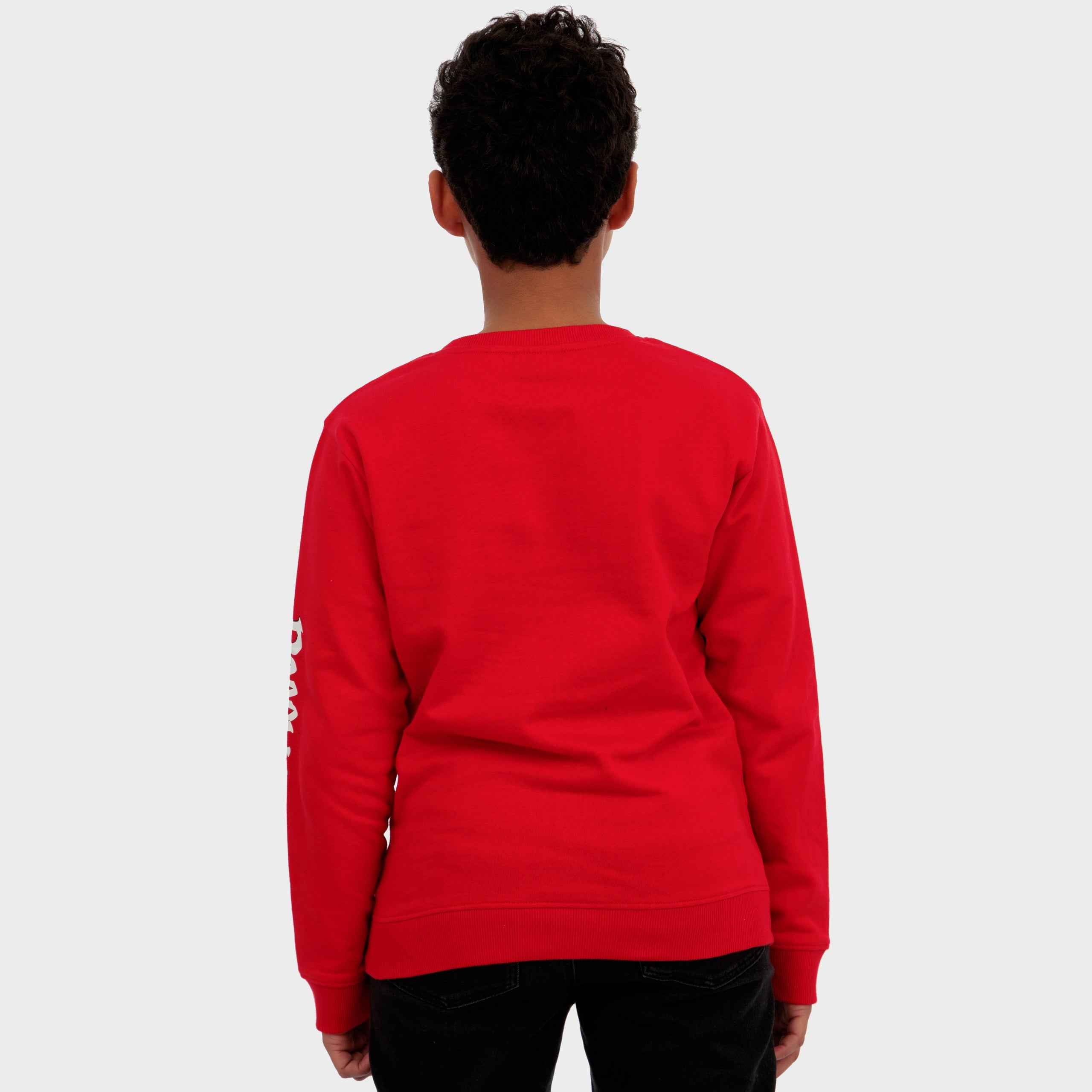 Poppy Playtime Sweatshirt