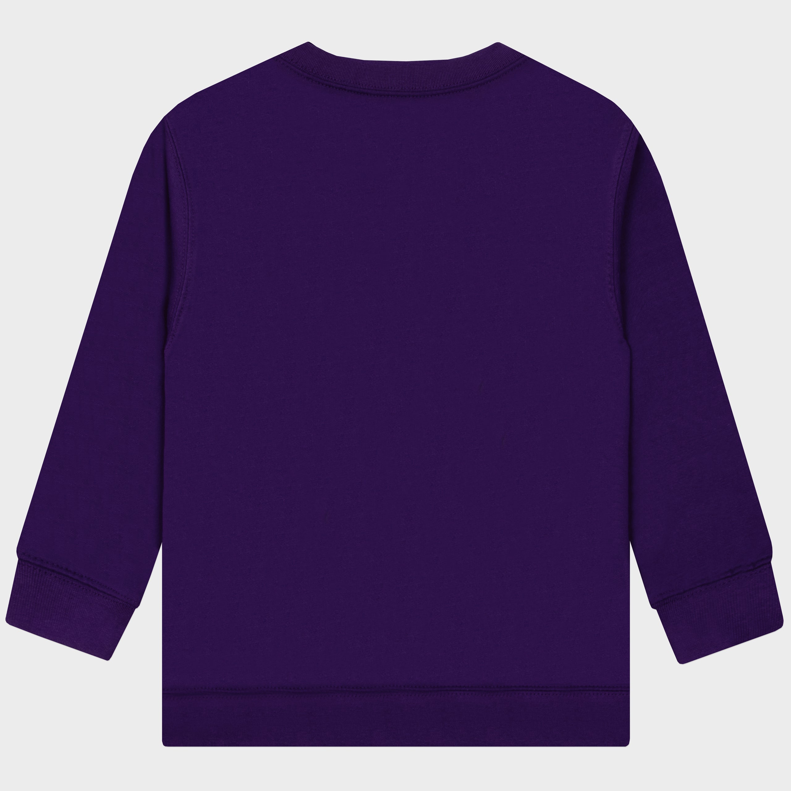 Boys PAW Patrol Halloween Sweatshirt