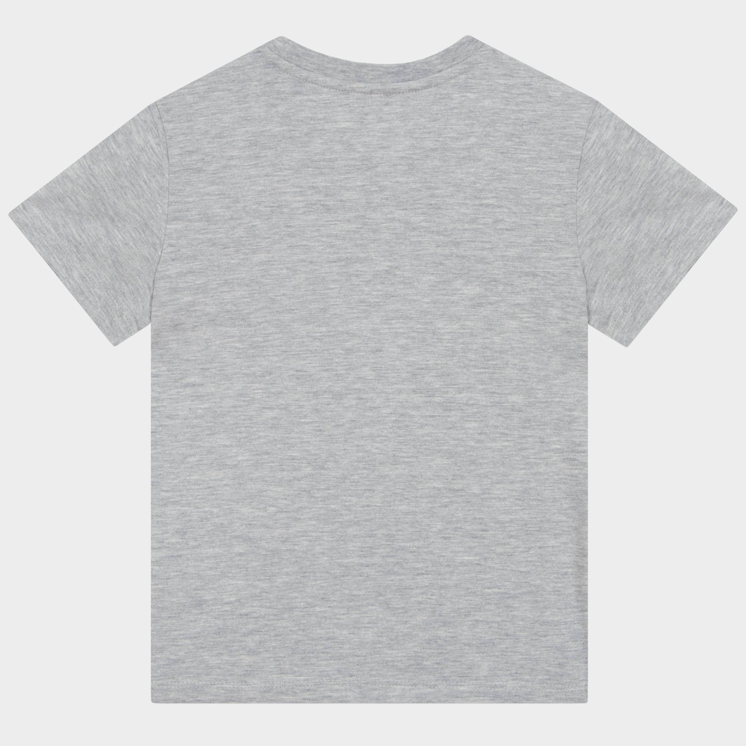 Paw Patrol Grey Boys Festival T-Shirt - Character.com