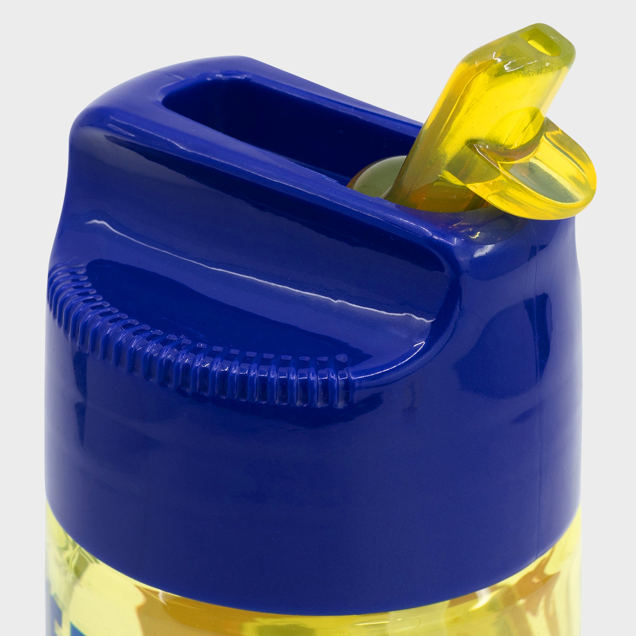PAW Patrol Chase And Marshall Water Bottle