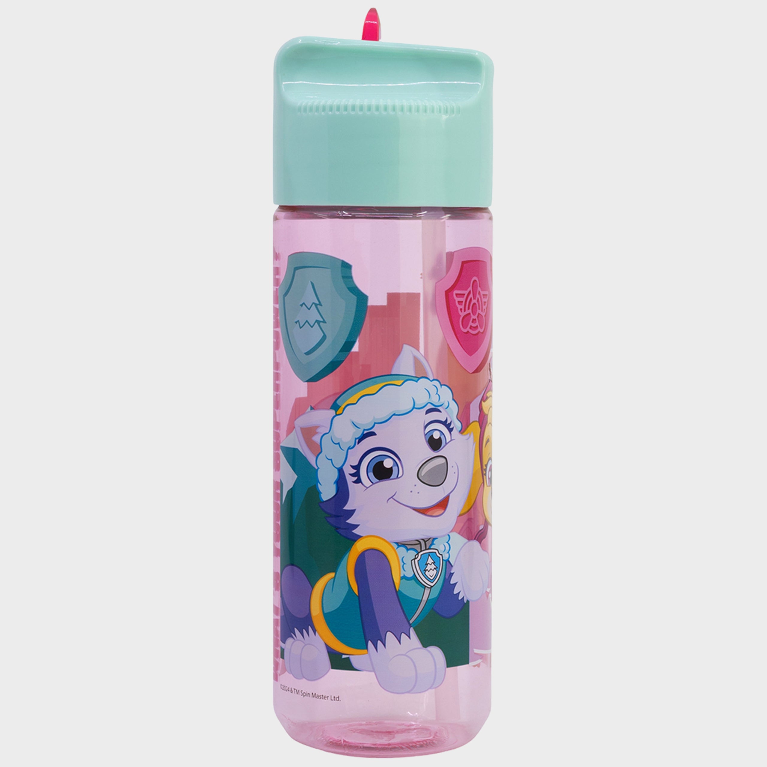 Skye Superpowers Water Bottle