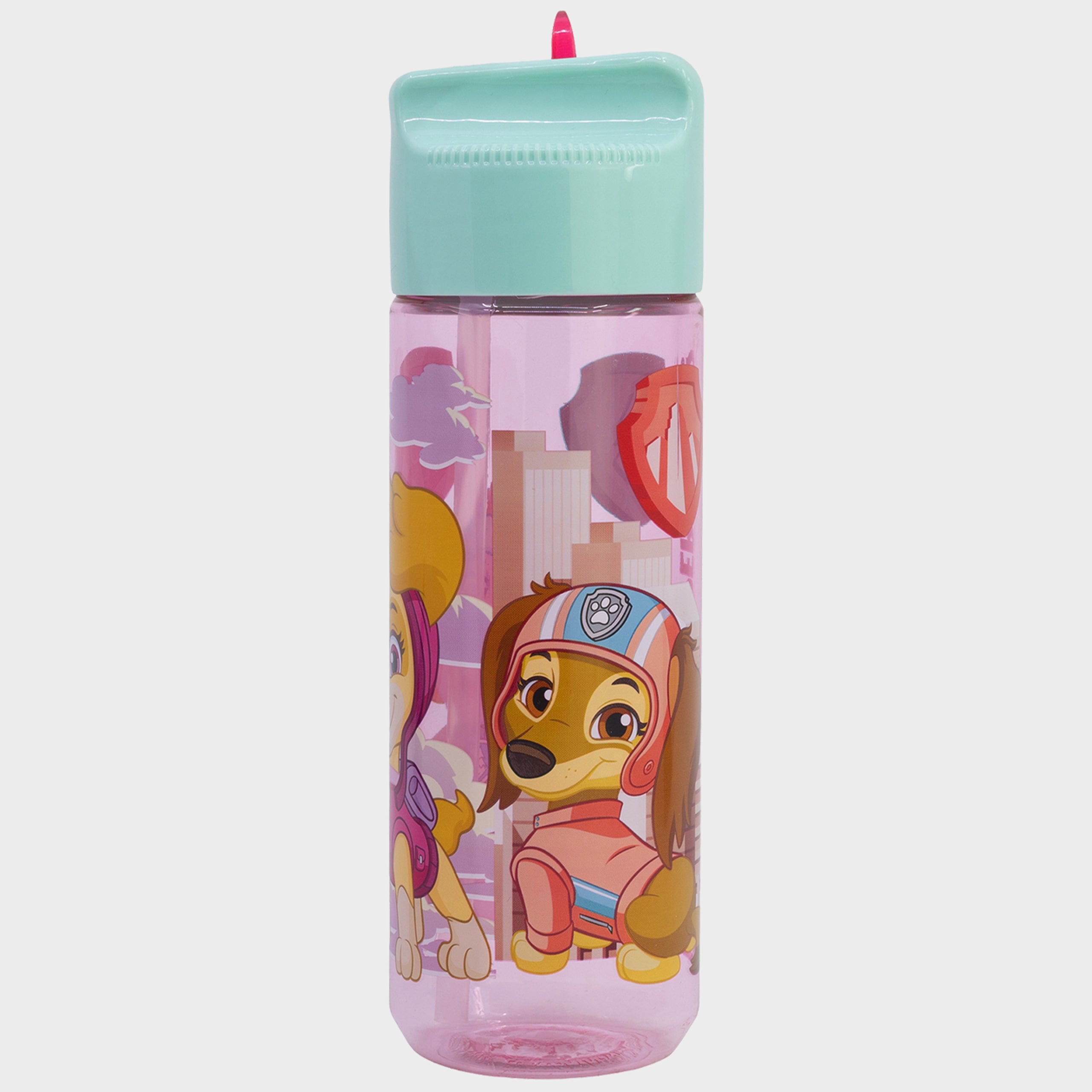 Skye Superpowers Water Bottle