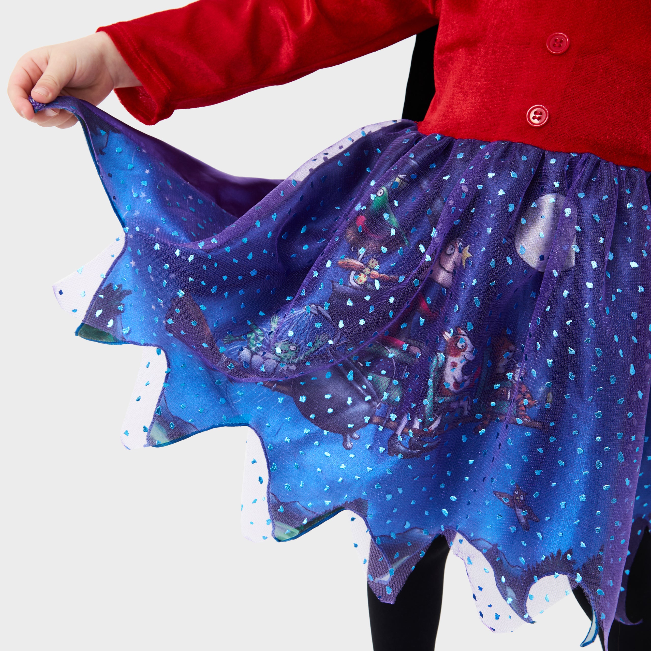 Room On The Broom Fancy Dress