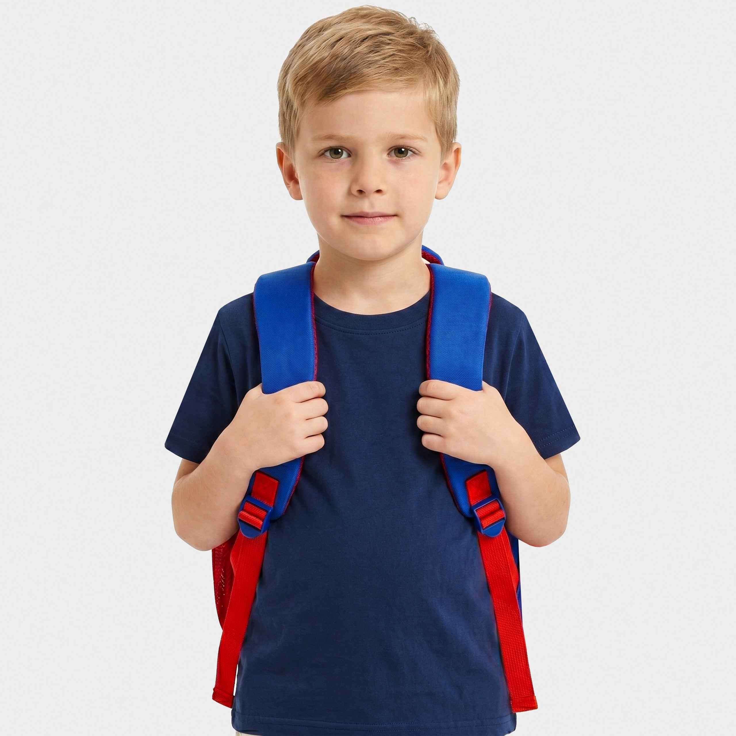 Spiderman Spider and Web Backpack
