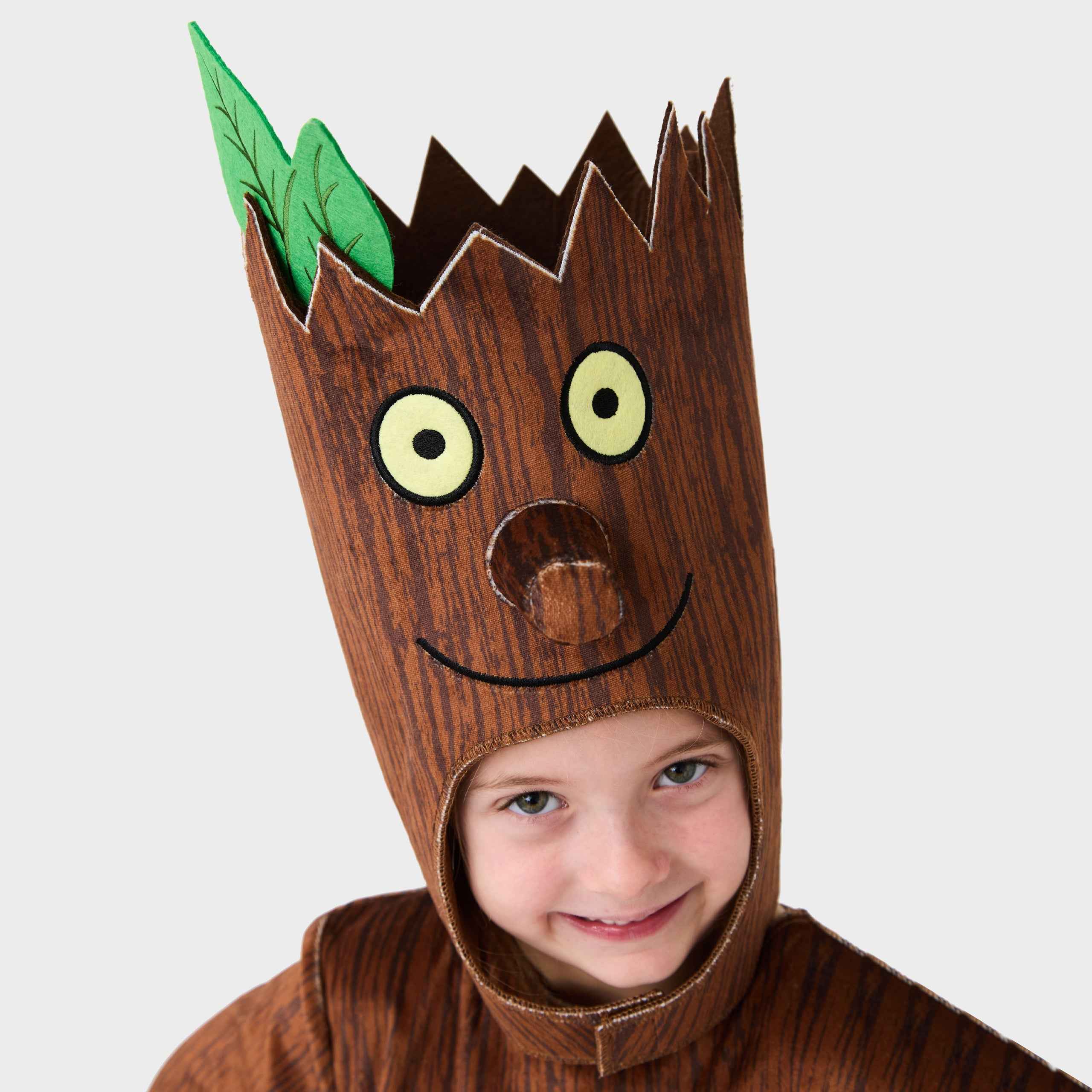 The Stick Man Fancy Dress