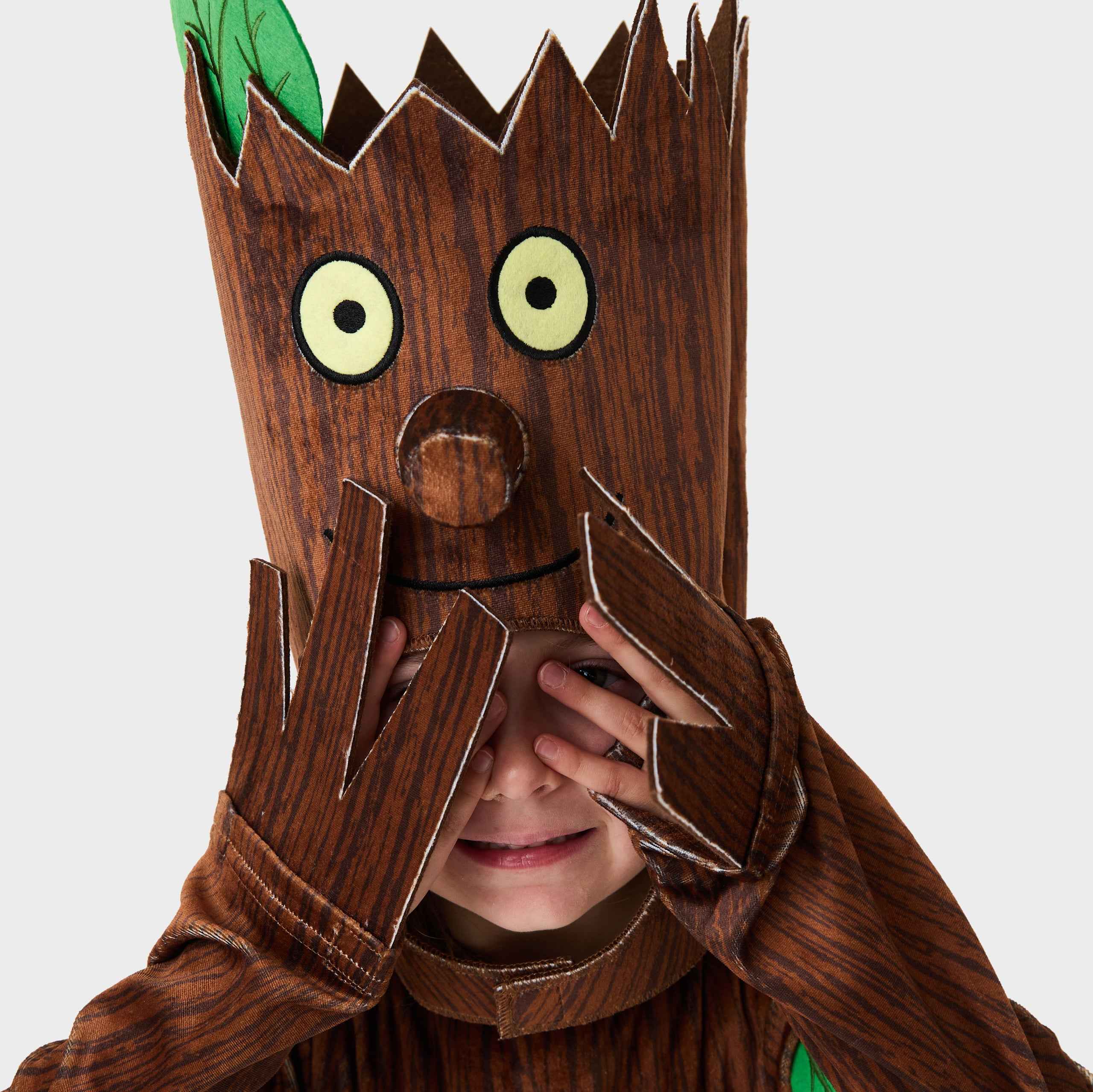 The Stick Man Fancy Dress