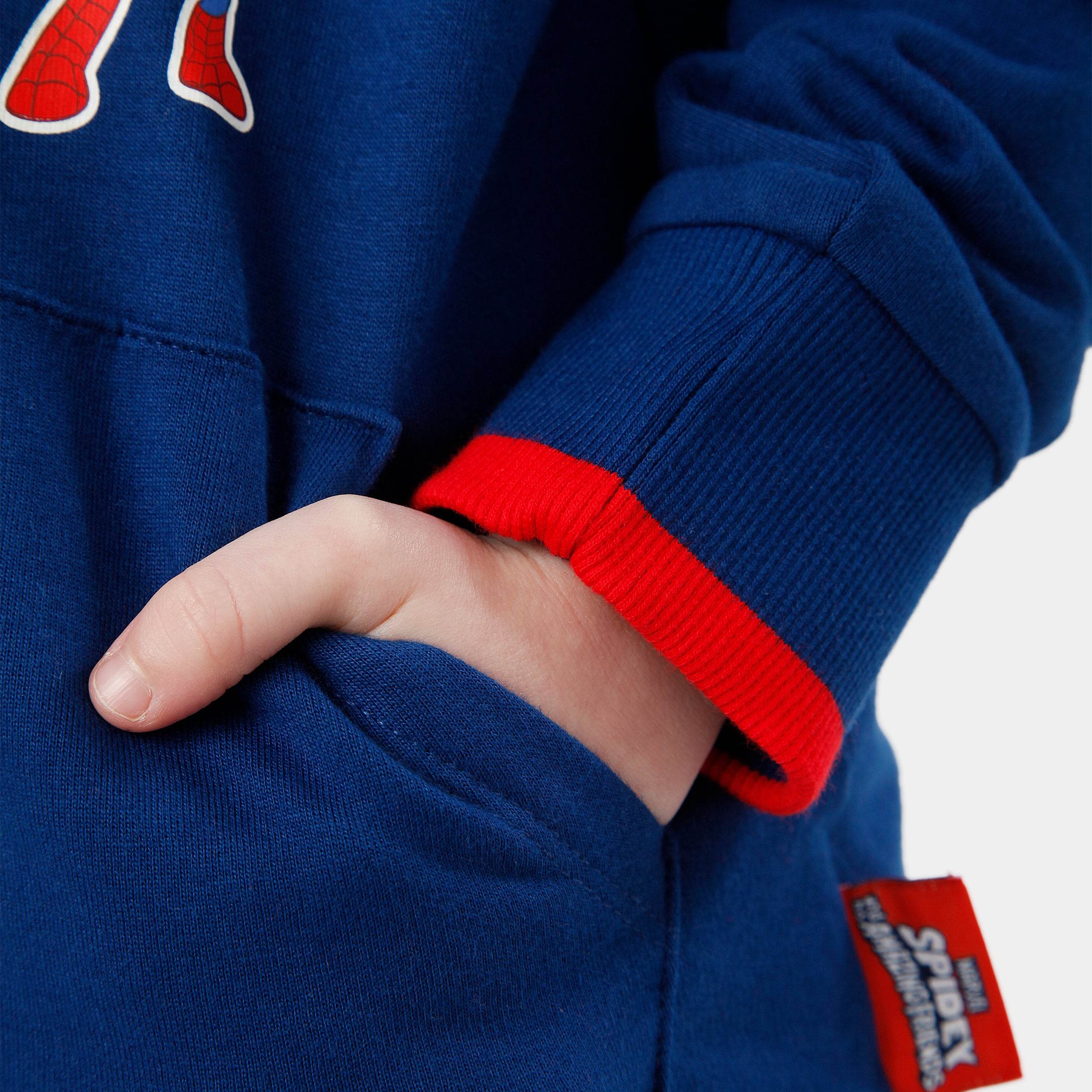 Spidey And His Amazing Friends Hoodie - Character.com