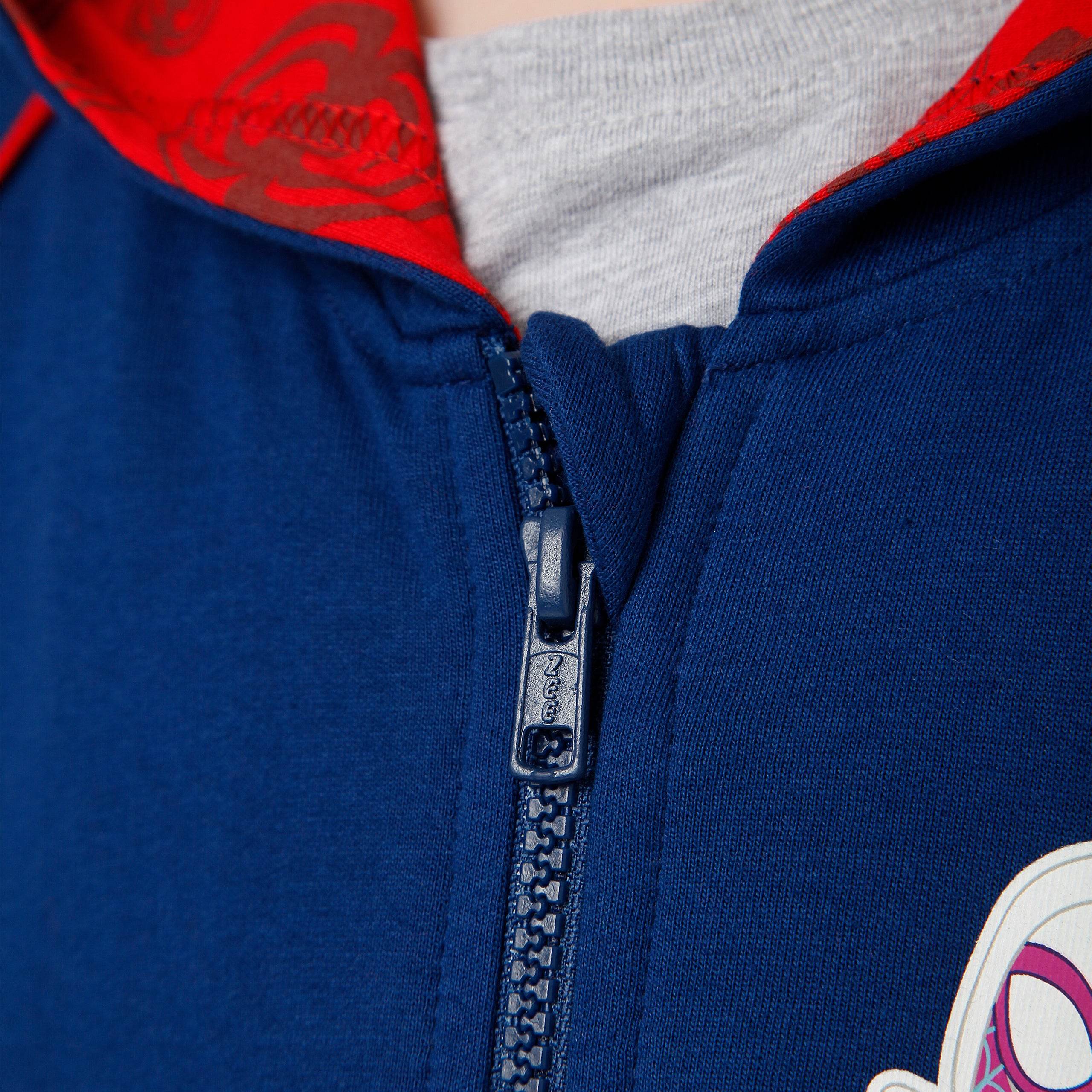 Spidey And His Amazing Friends Hoodie - Character.com