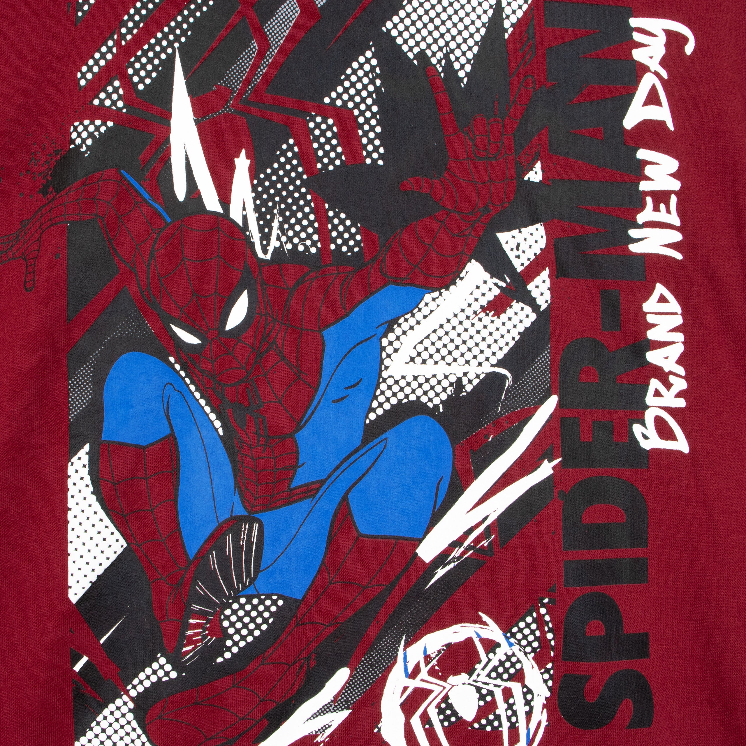 Spiderman Brand New Day Jogger & Hoodie Set