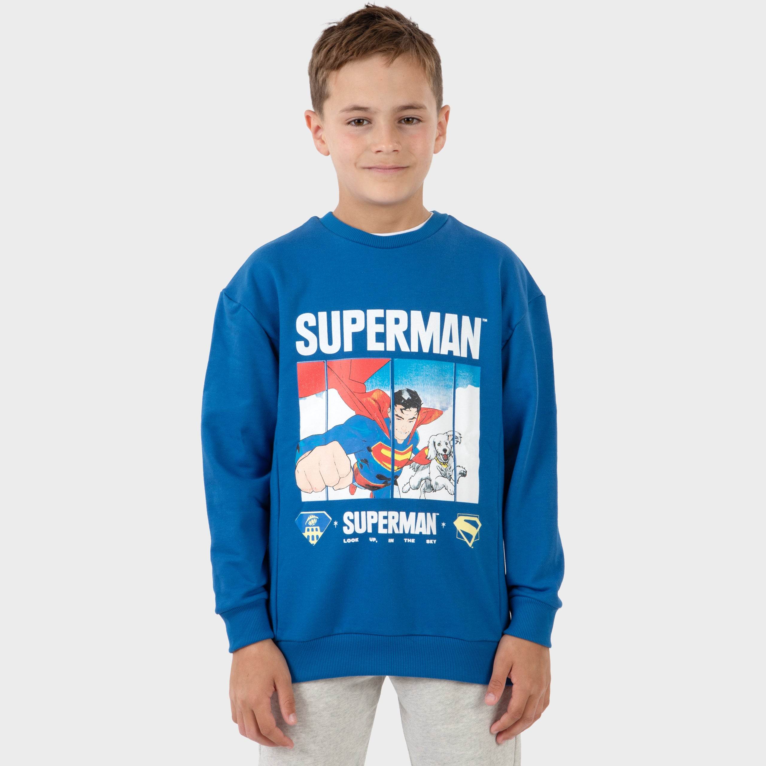 Superman Sweatshirt - Character.com