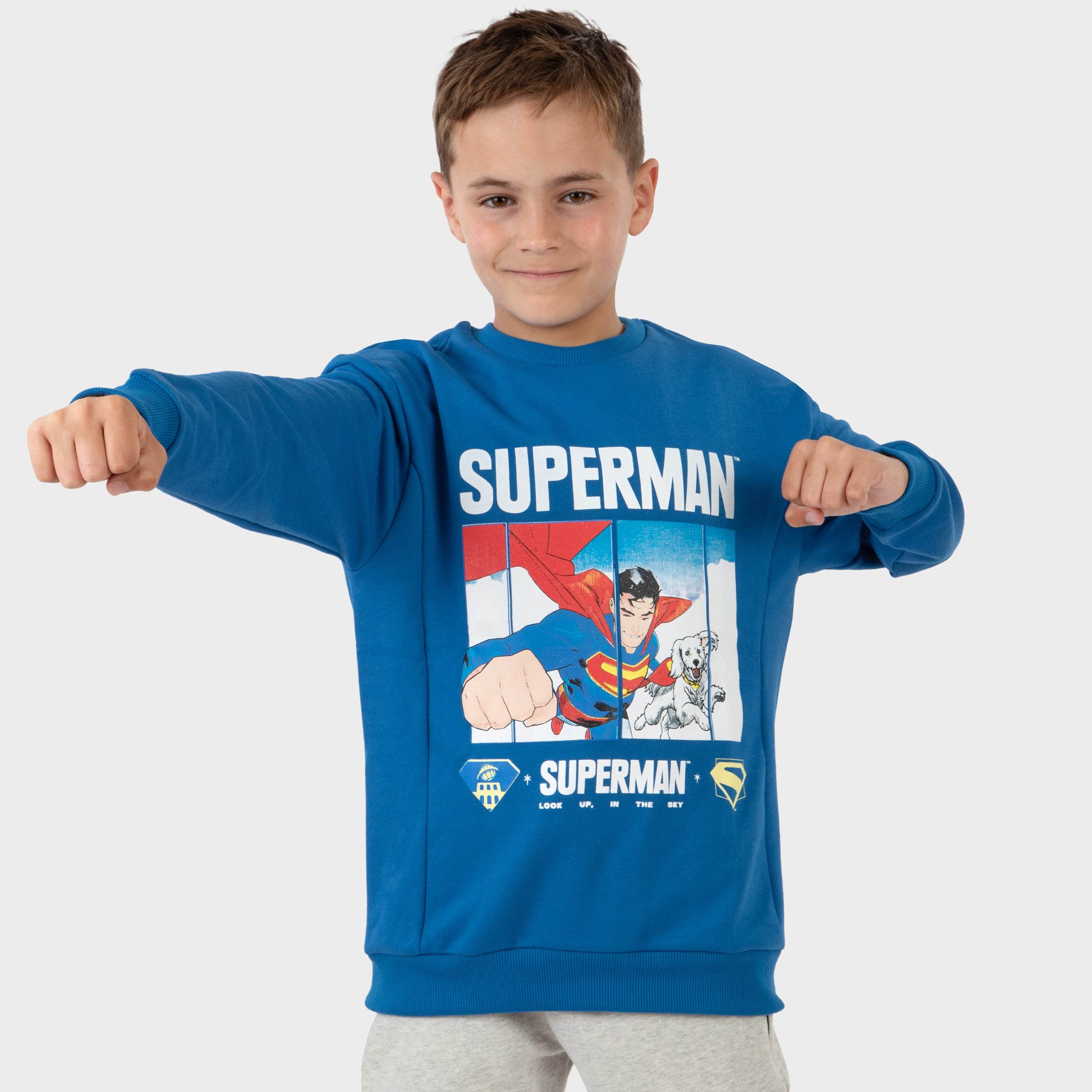 Superman Sweatshirt - Character.com