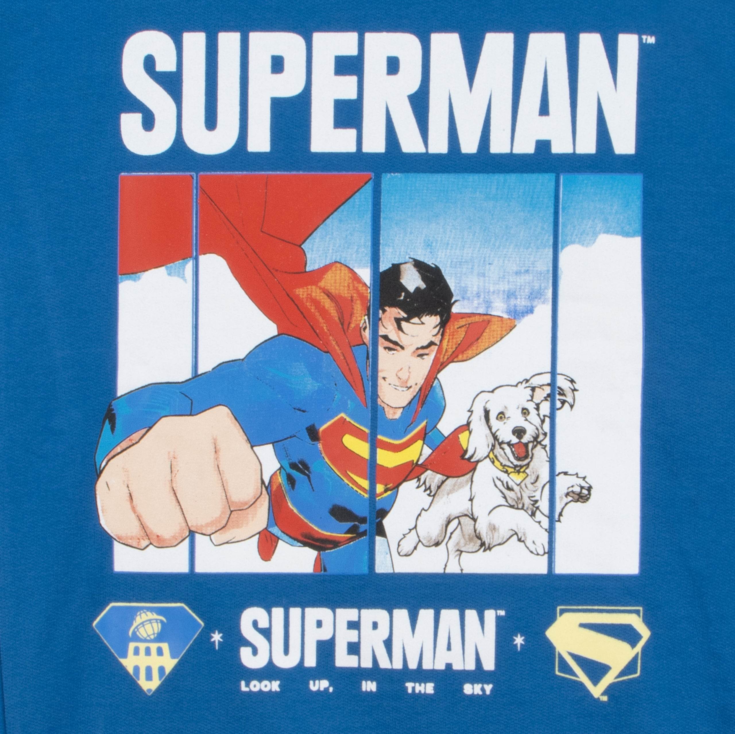 Superman Sweatshirt - Character.com
